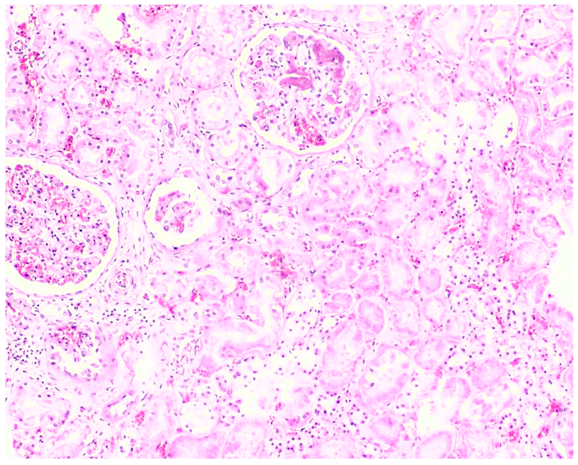 Toxics 12 00675 g006