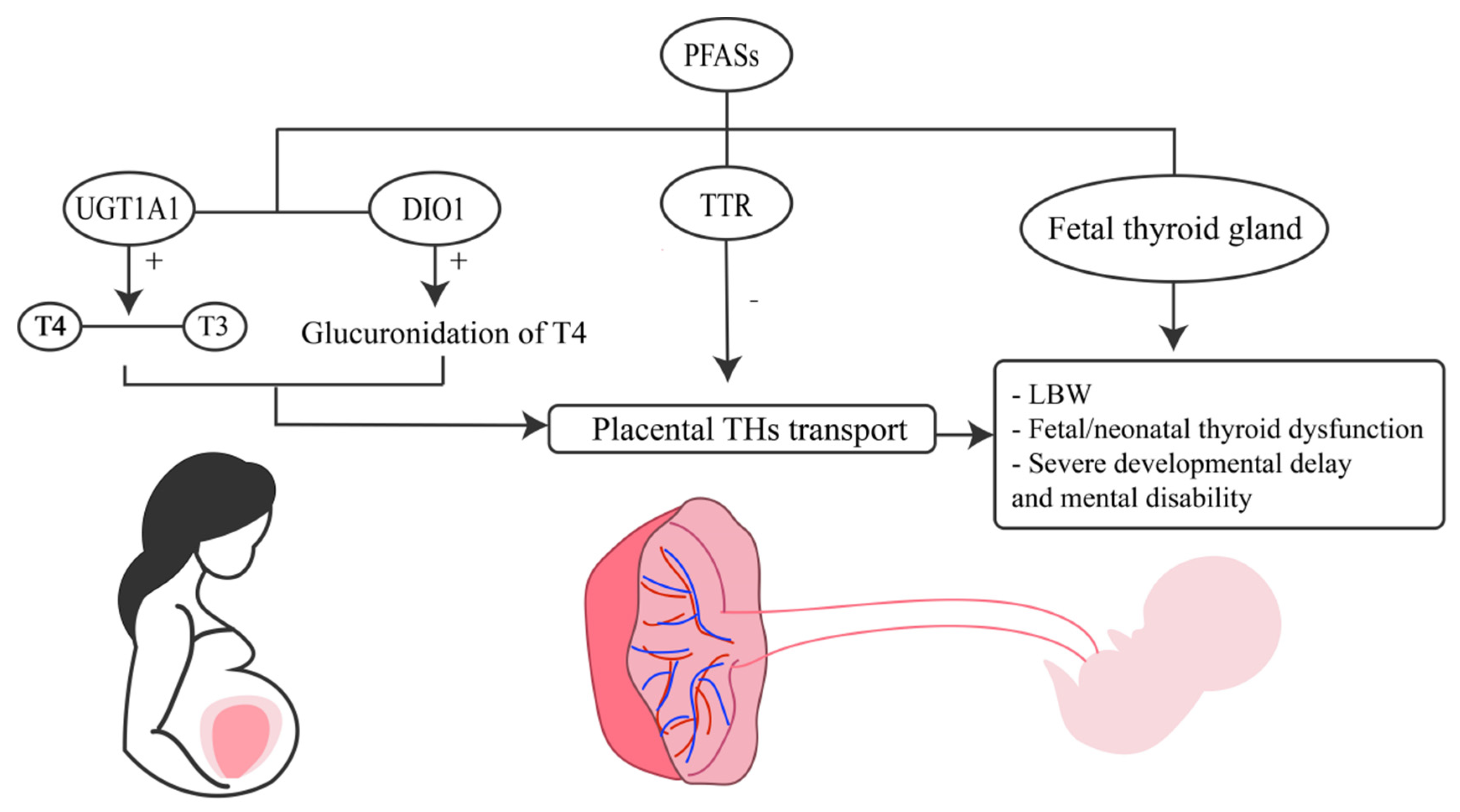 Toxics 12 00678 g002