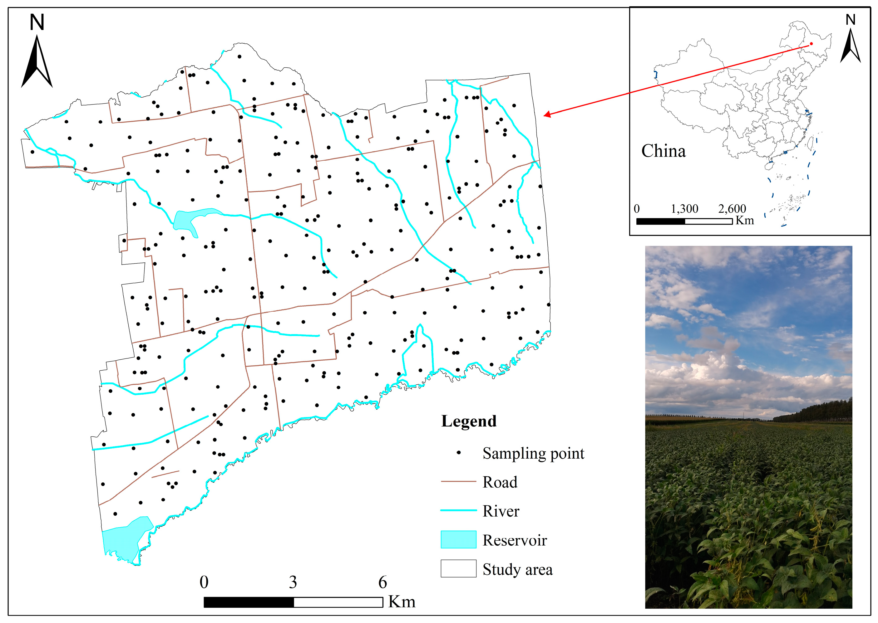 Toxics 12 00683 g001