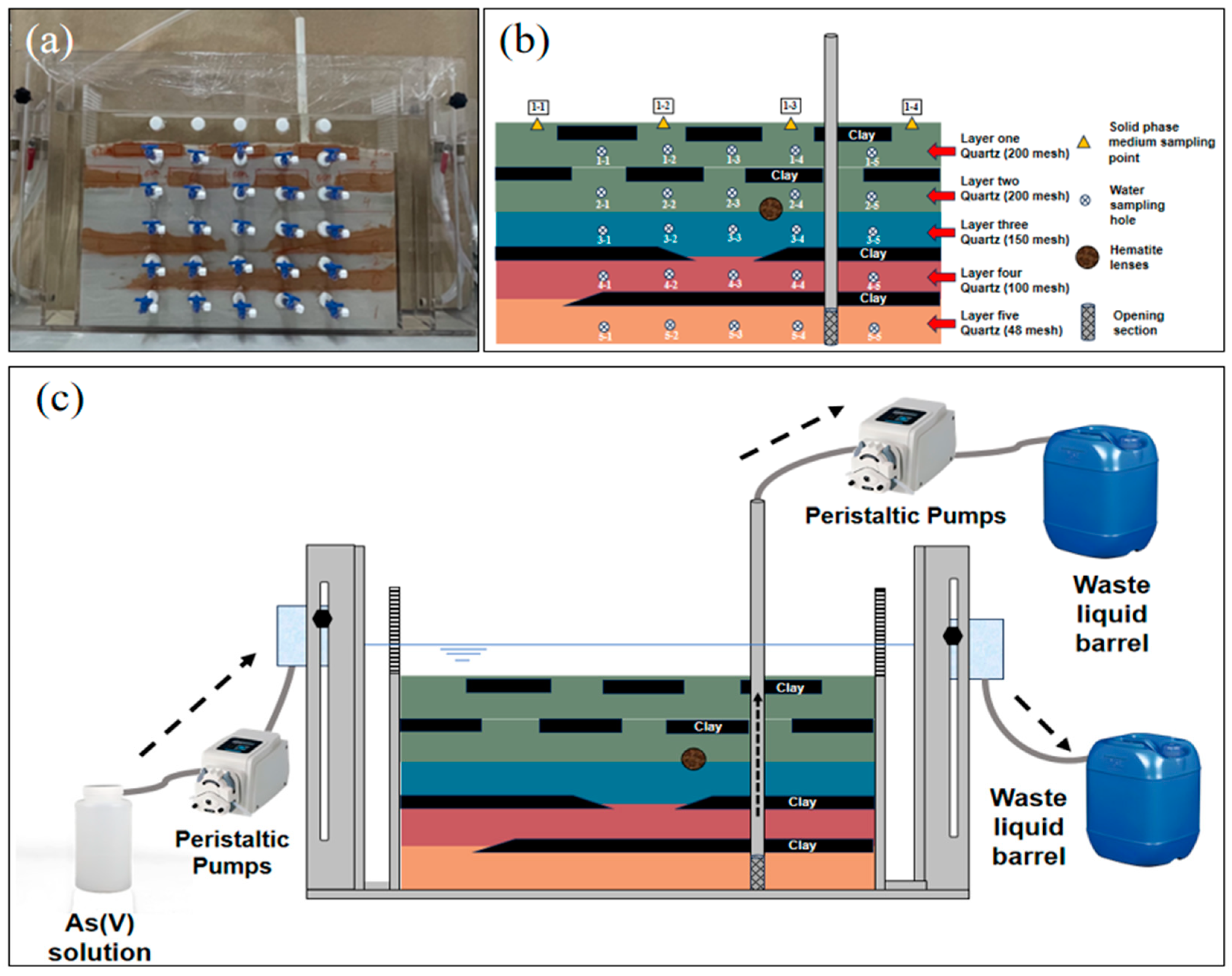 Toxics 12 00687 g001