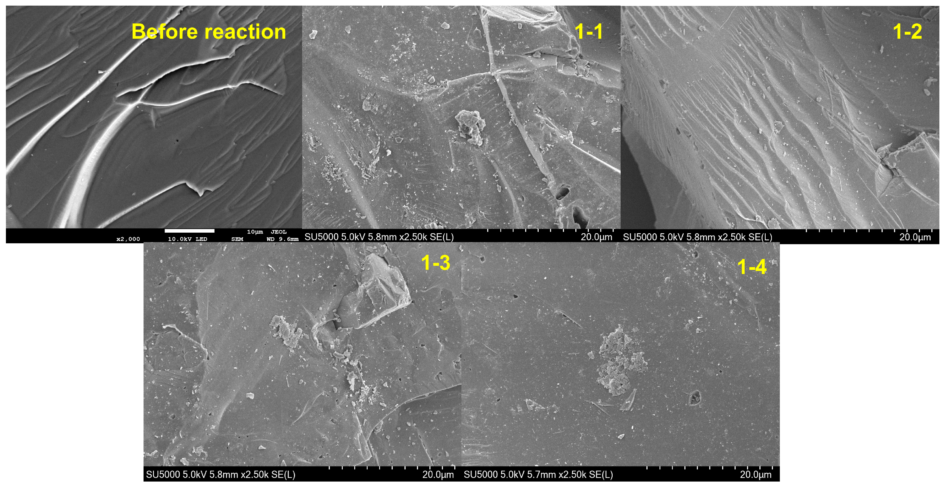 Toxics 12 00687 g005