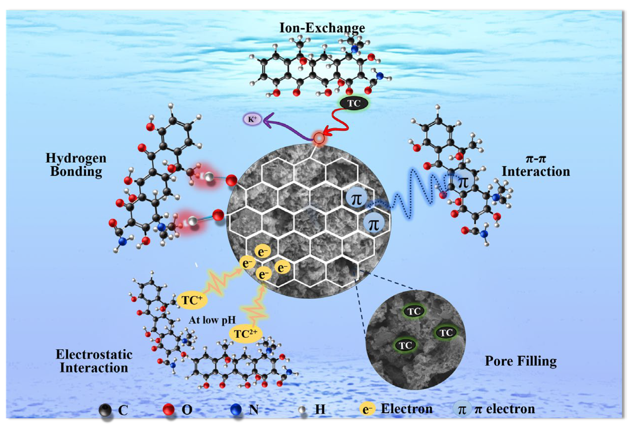 Toxics 12 00691 g007