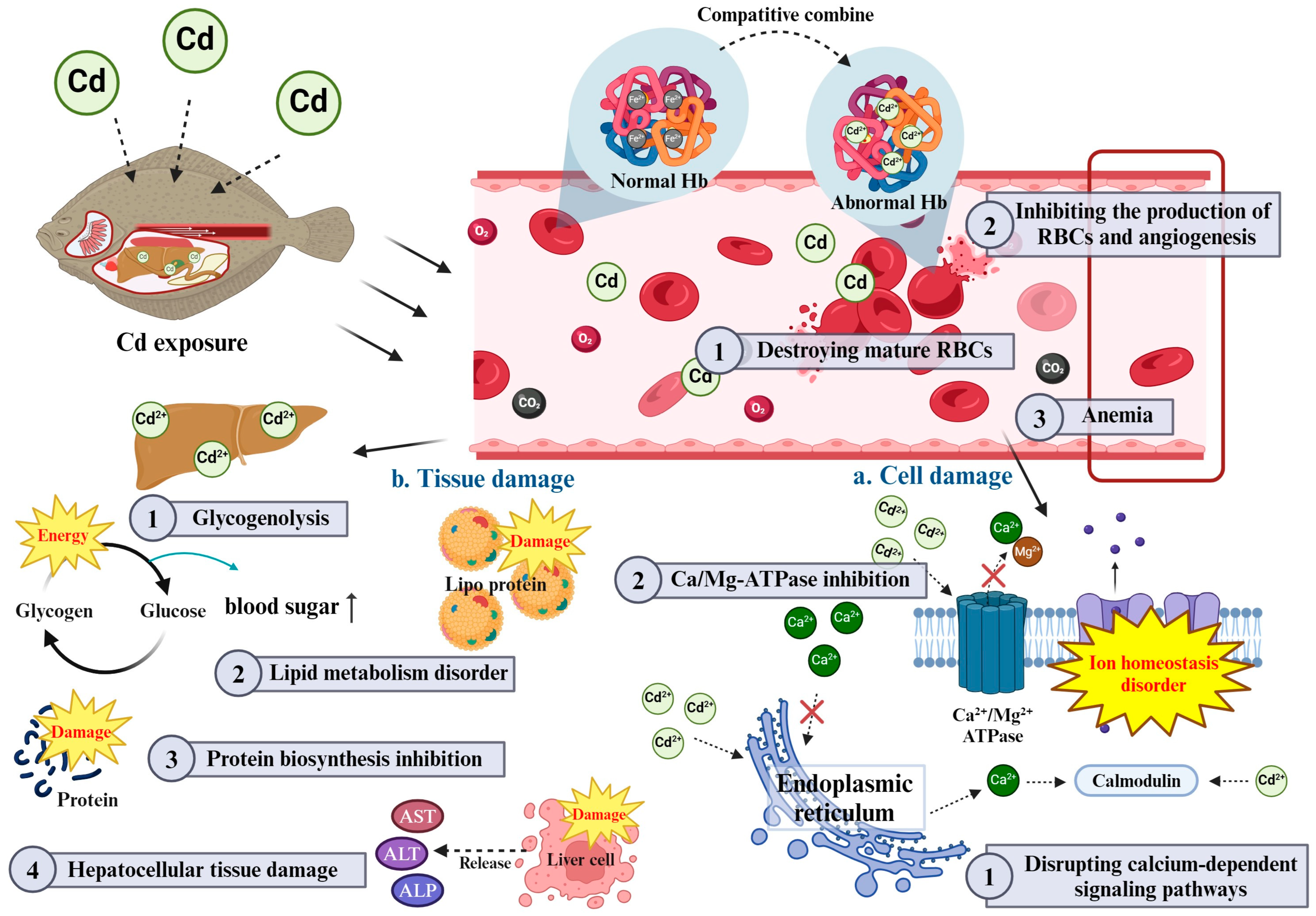 Toxics 12 00699 g002