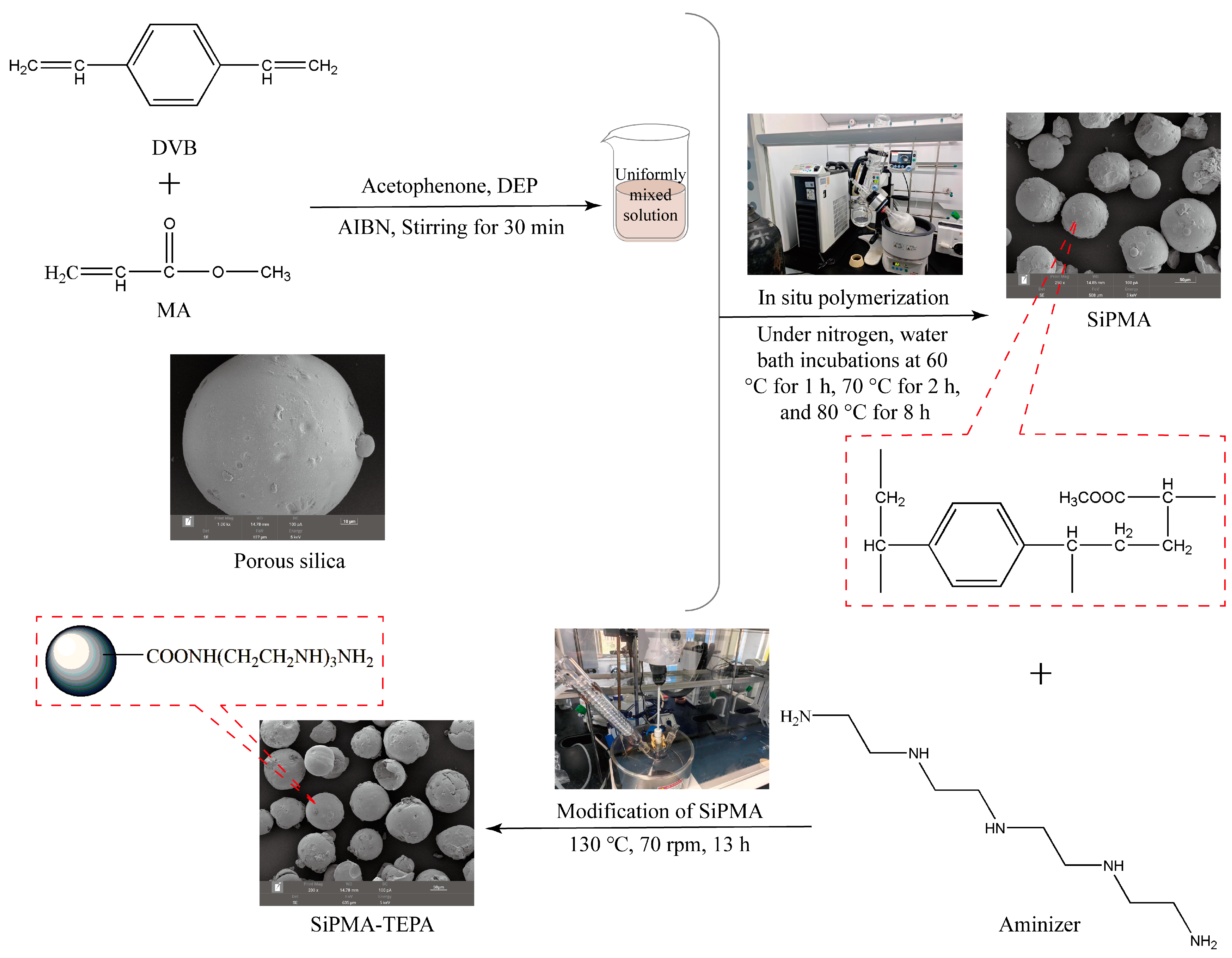 Toxics 12 00704 g001 Toxics 12 00704 g001