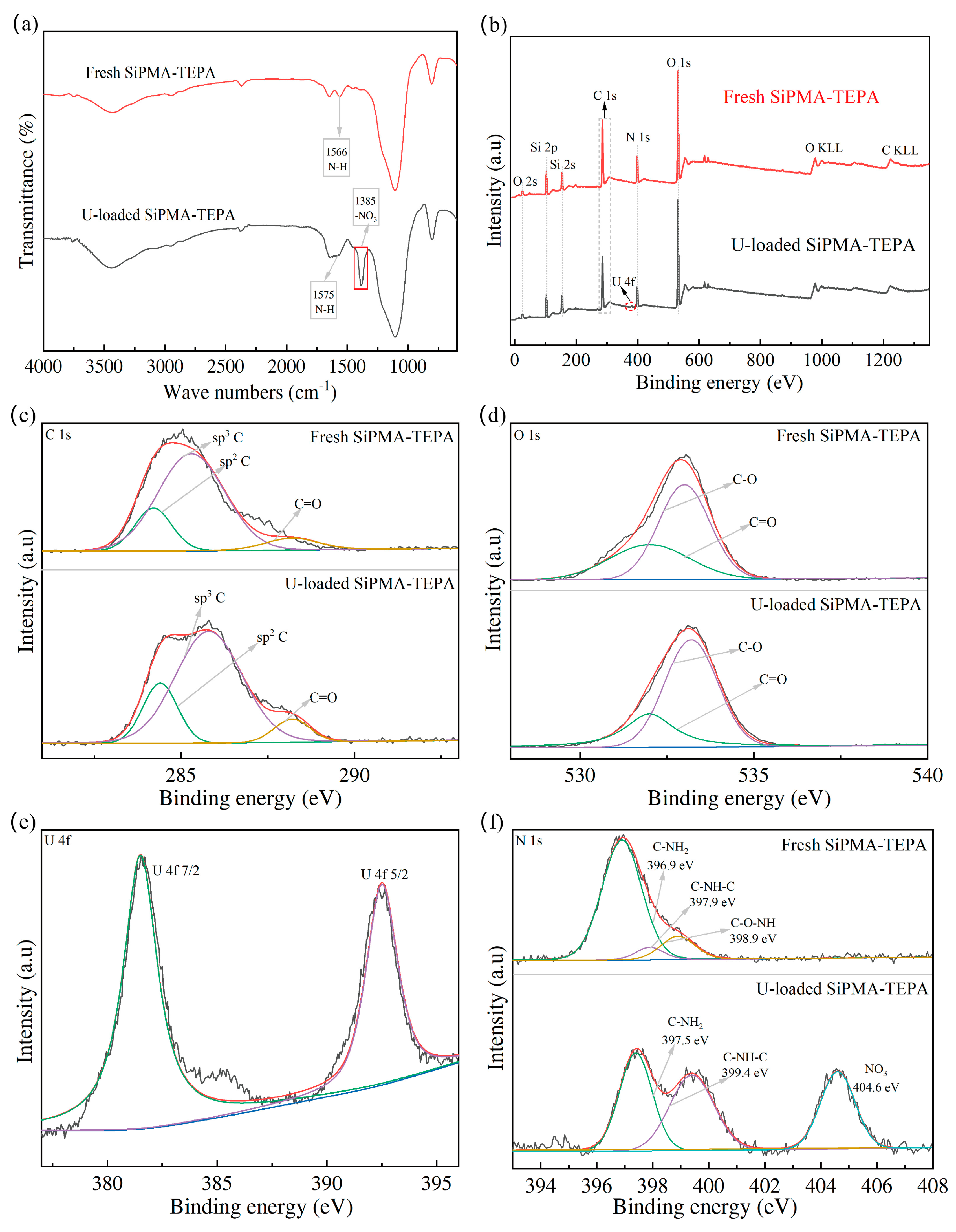 Toxics 12 00704 g011 Toxics 12 00704 g011