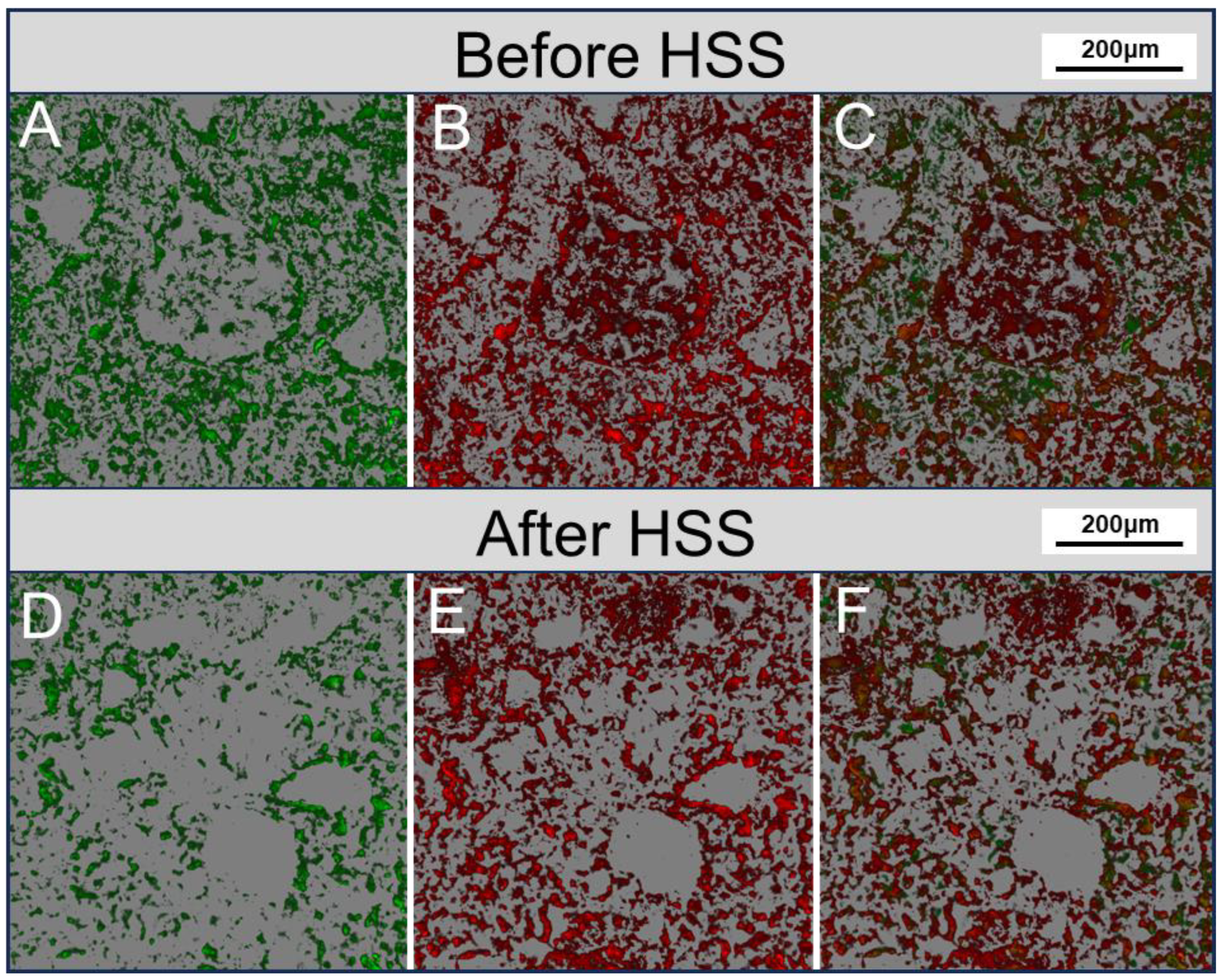 Toxics 12 00711 g006