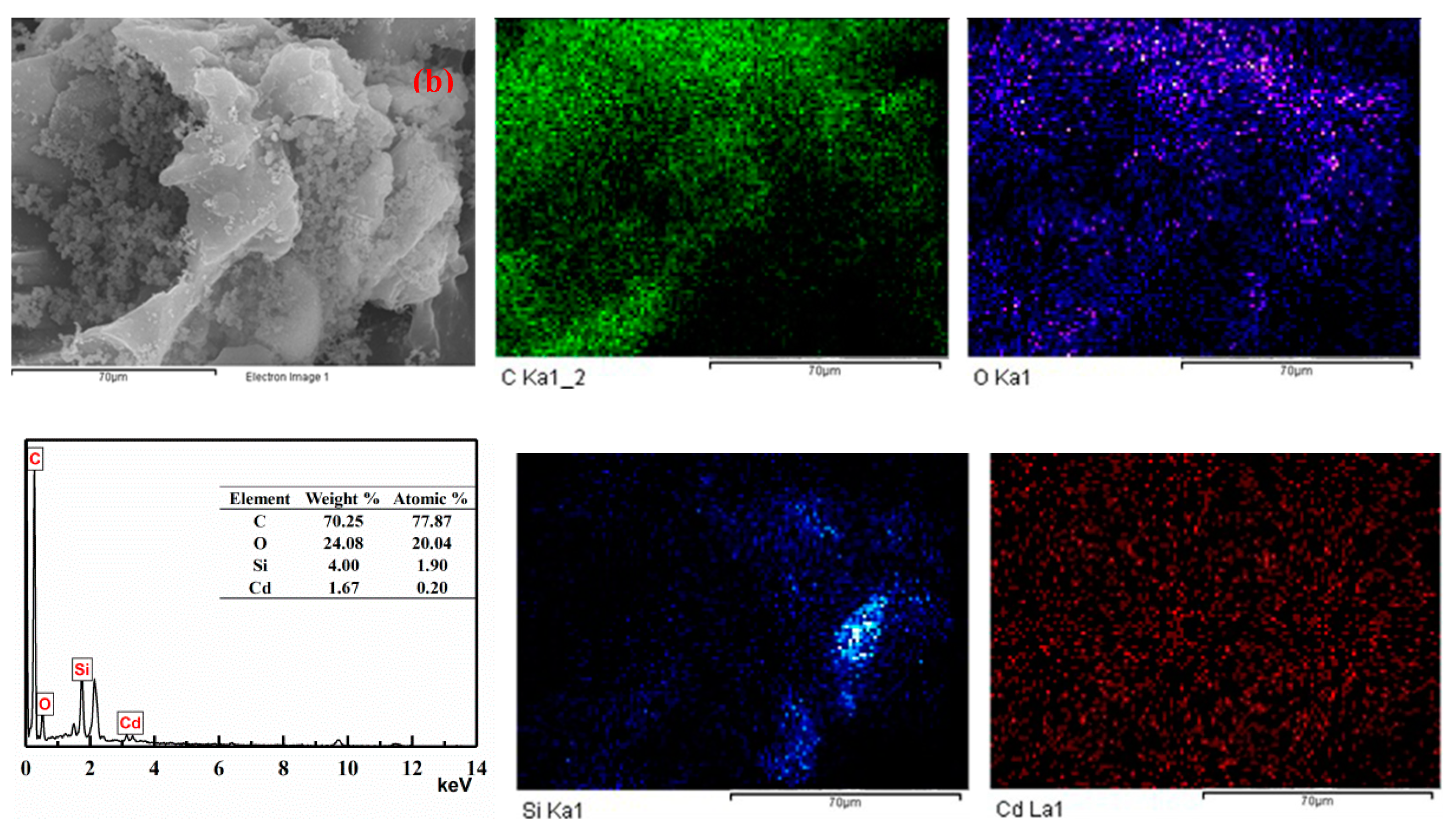 Toxics 12 00717 g008b