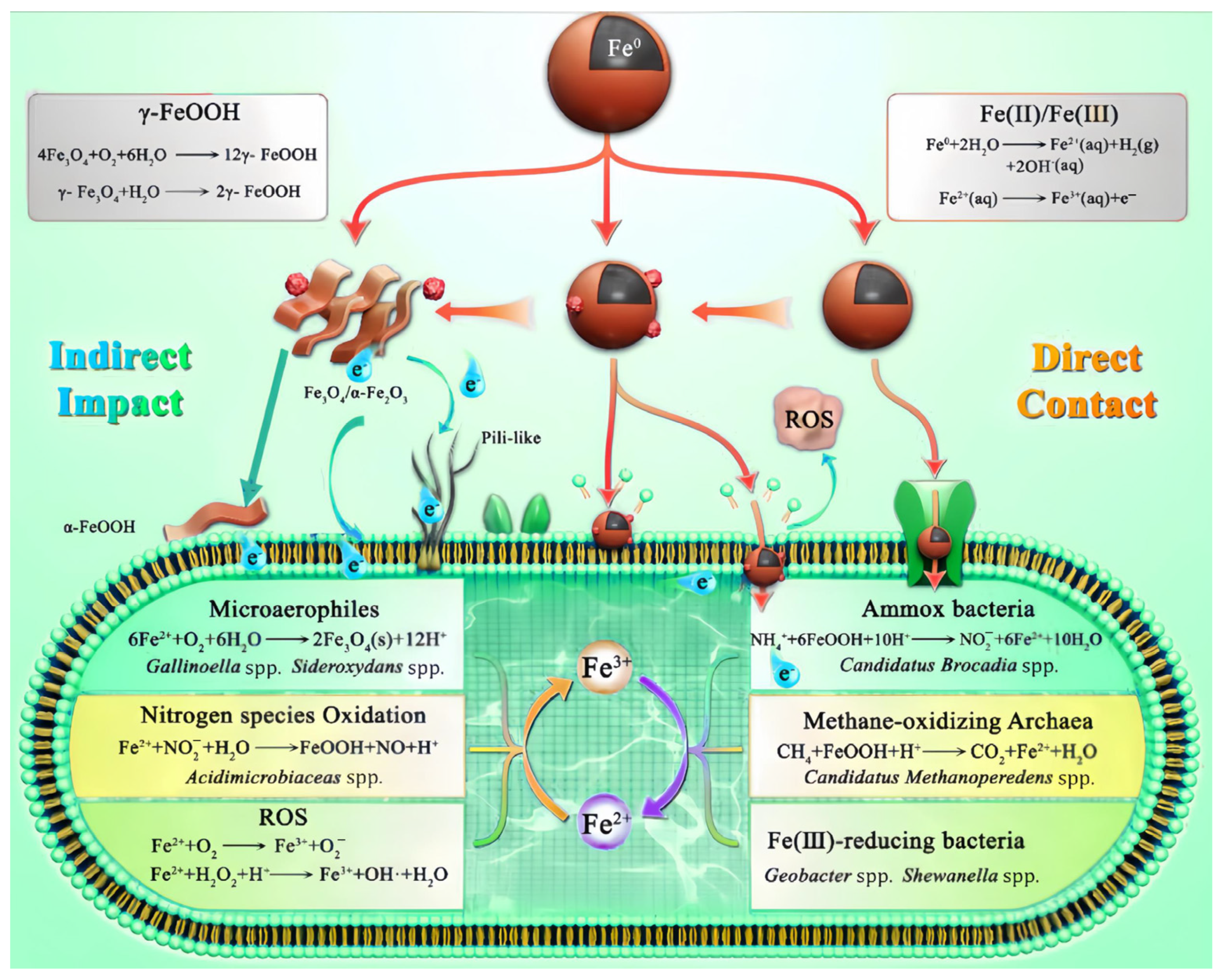 Toxics 12 00721 g004 Toxics 12 00721 g004