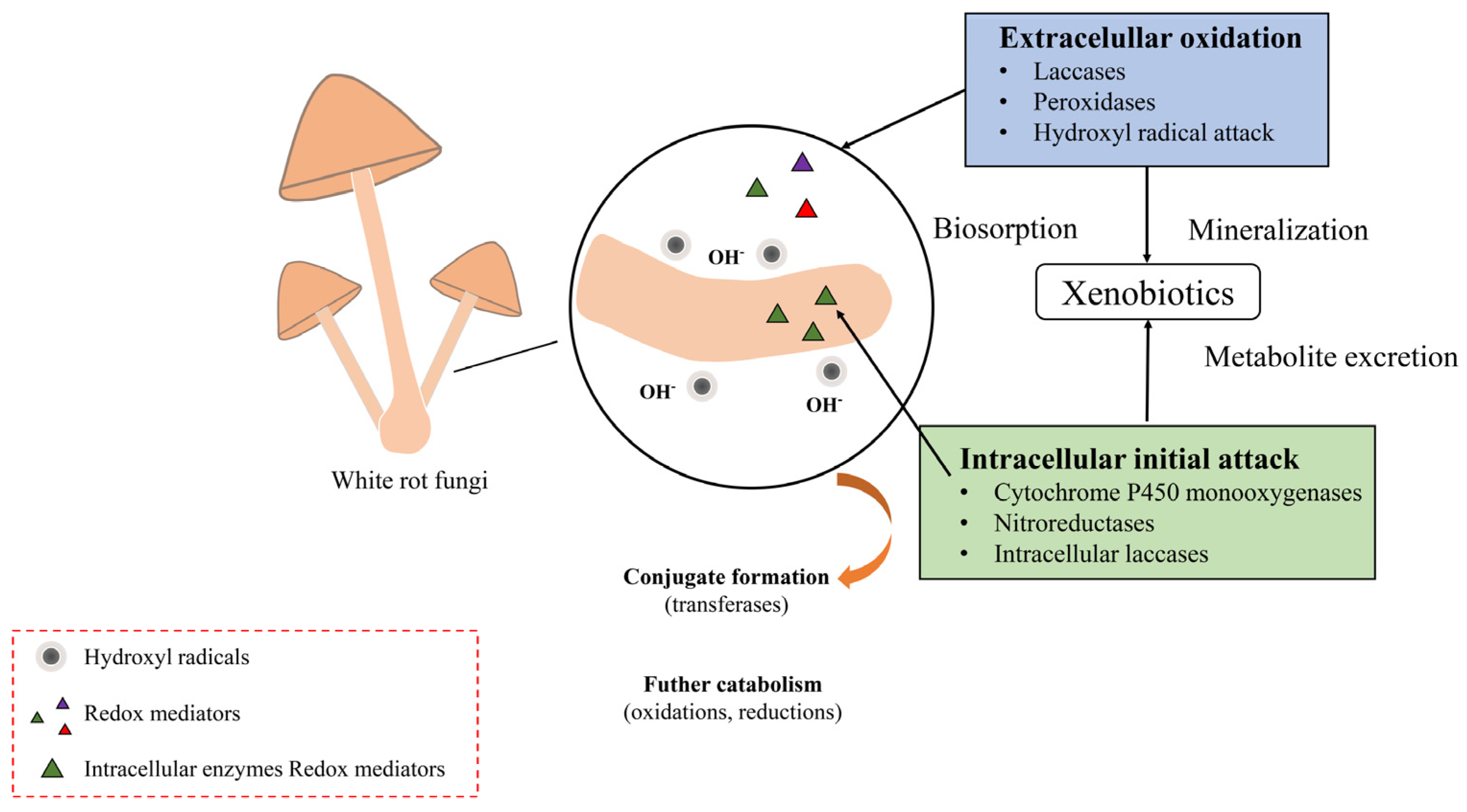 Toxics 12 00721 g006 Toxics 12 00721 g006