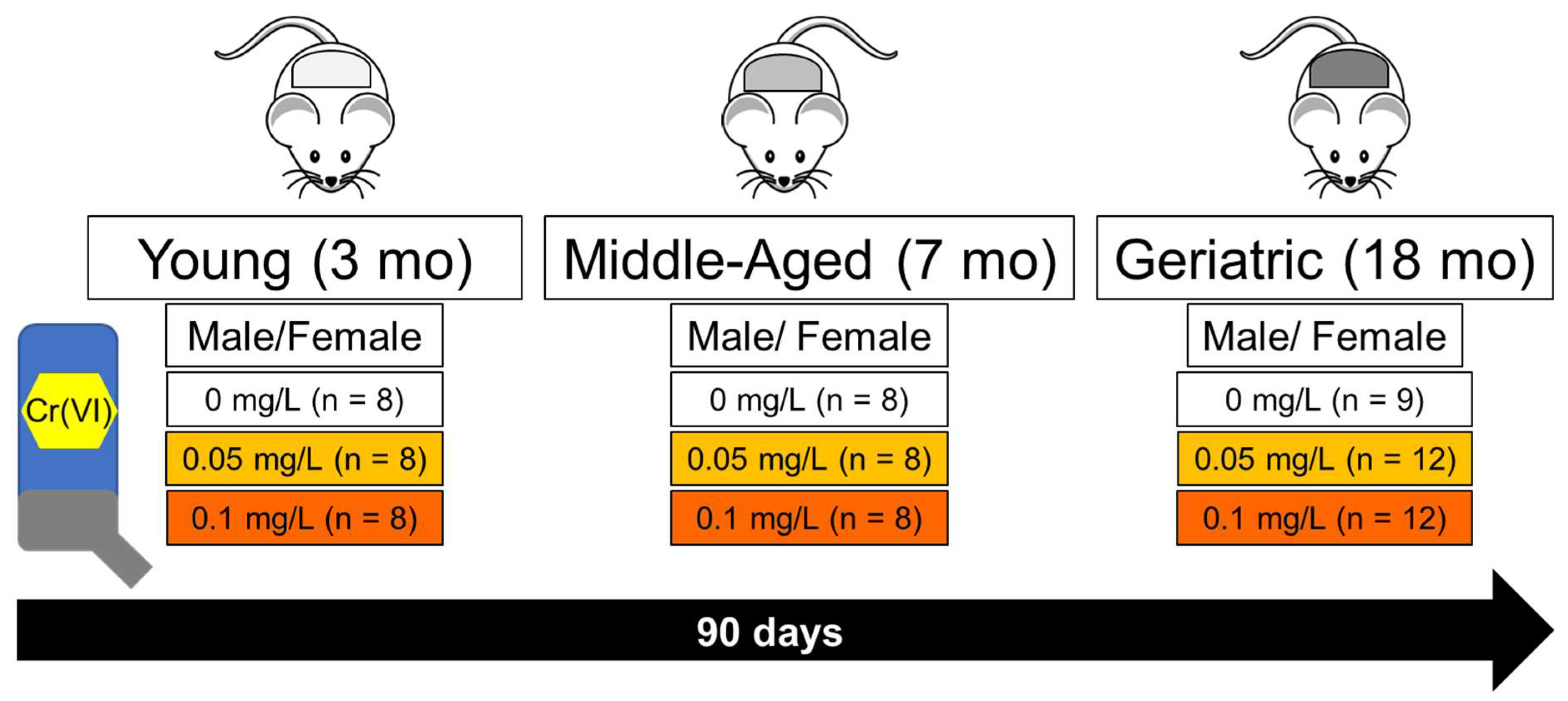 Toxics 12 00722 g001