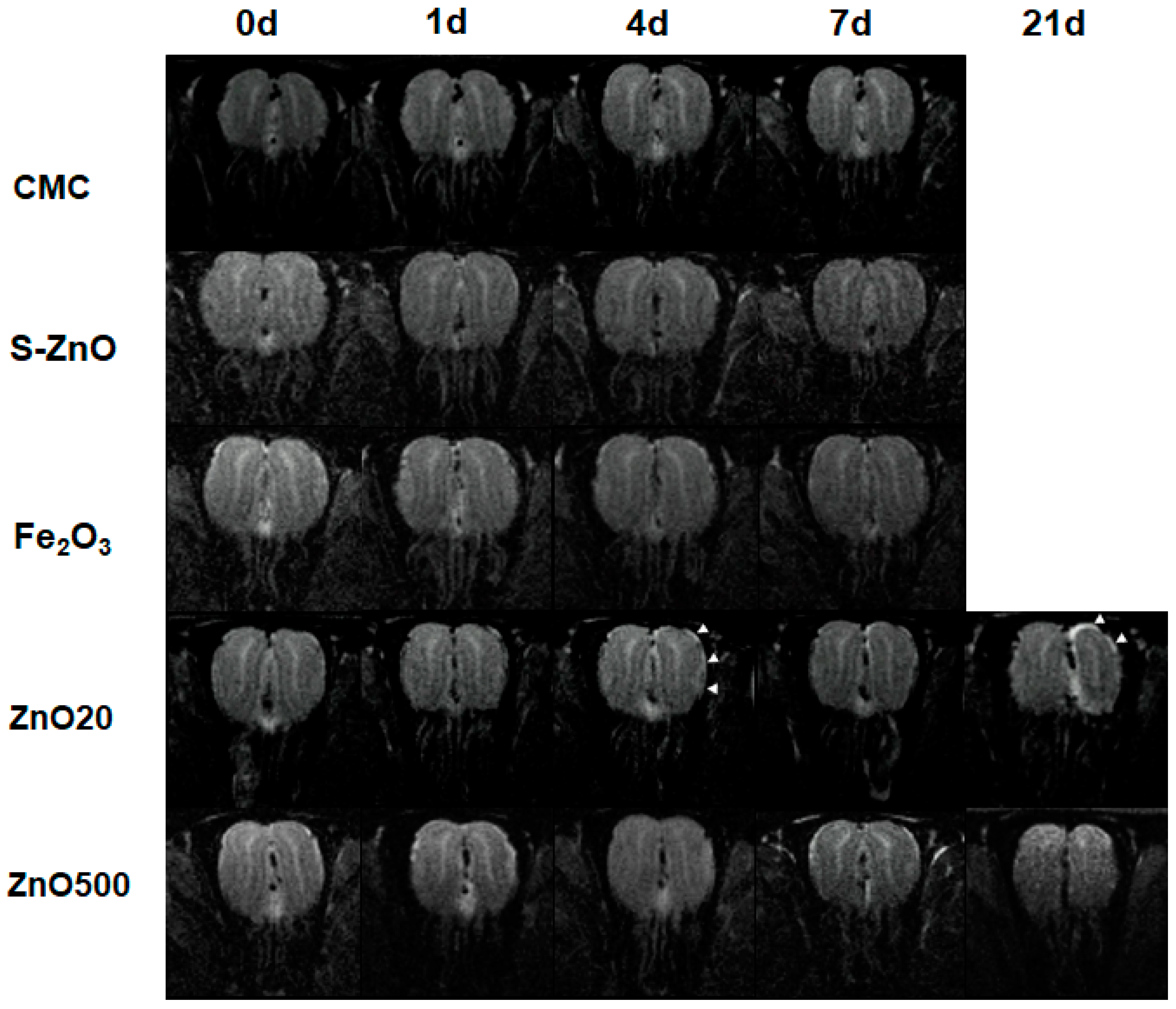 Toxics 12 00724 g004