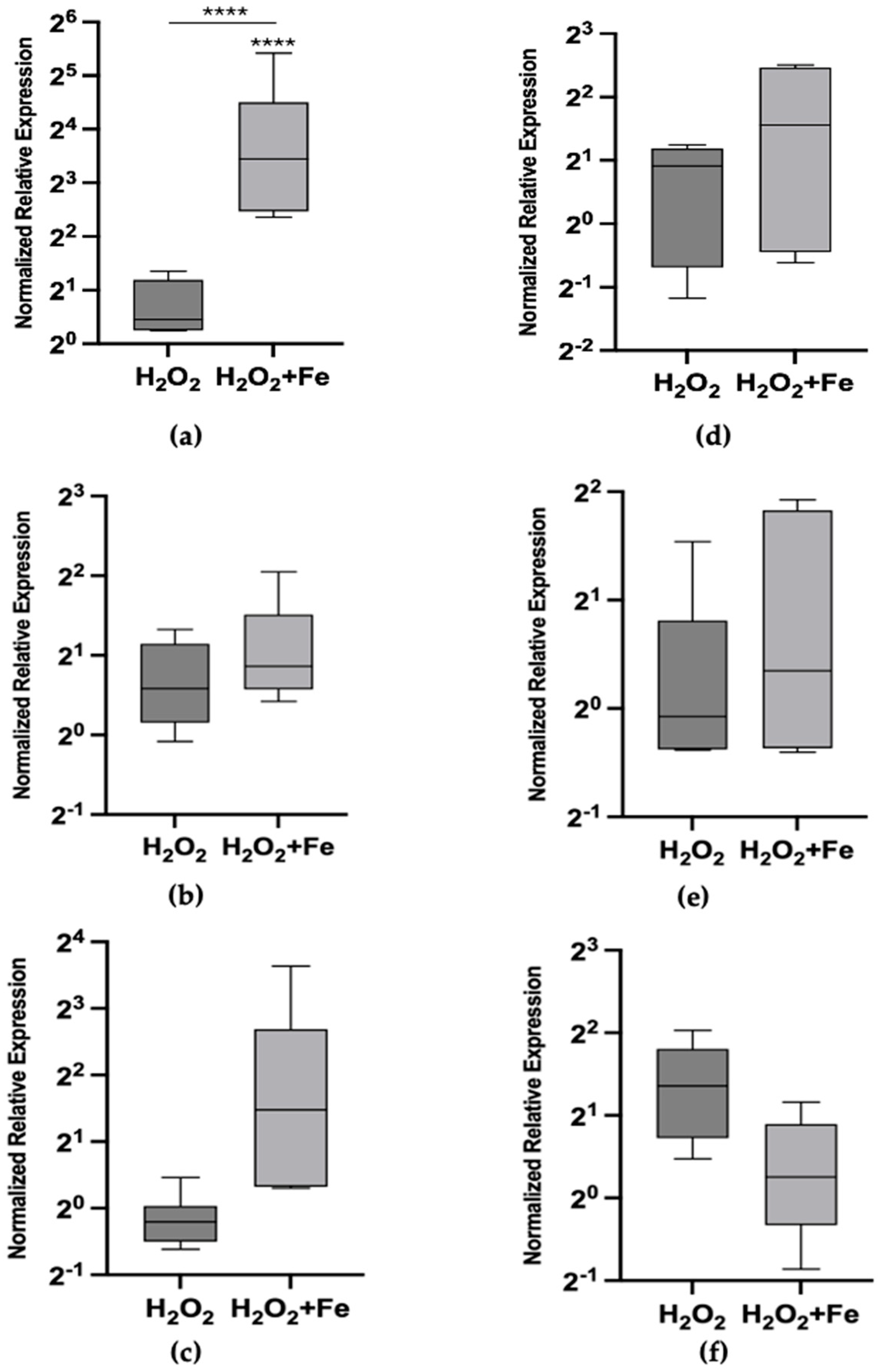 Toxics 12 00725 g001