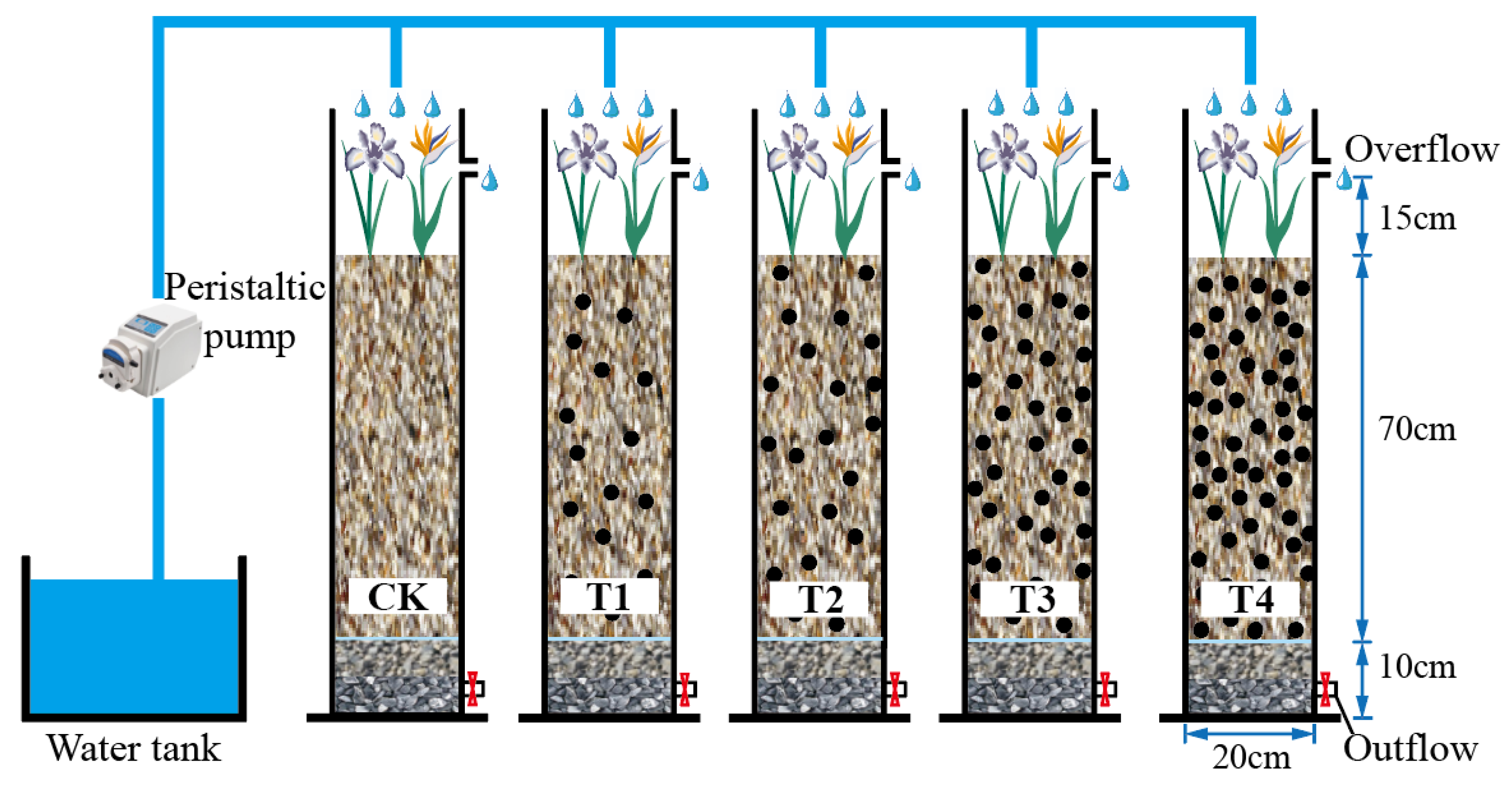 Toxics 12 00727 g001