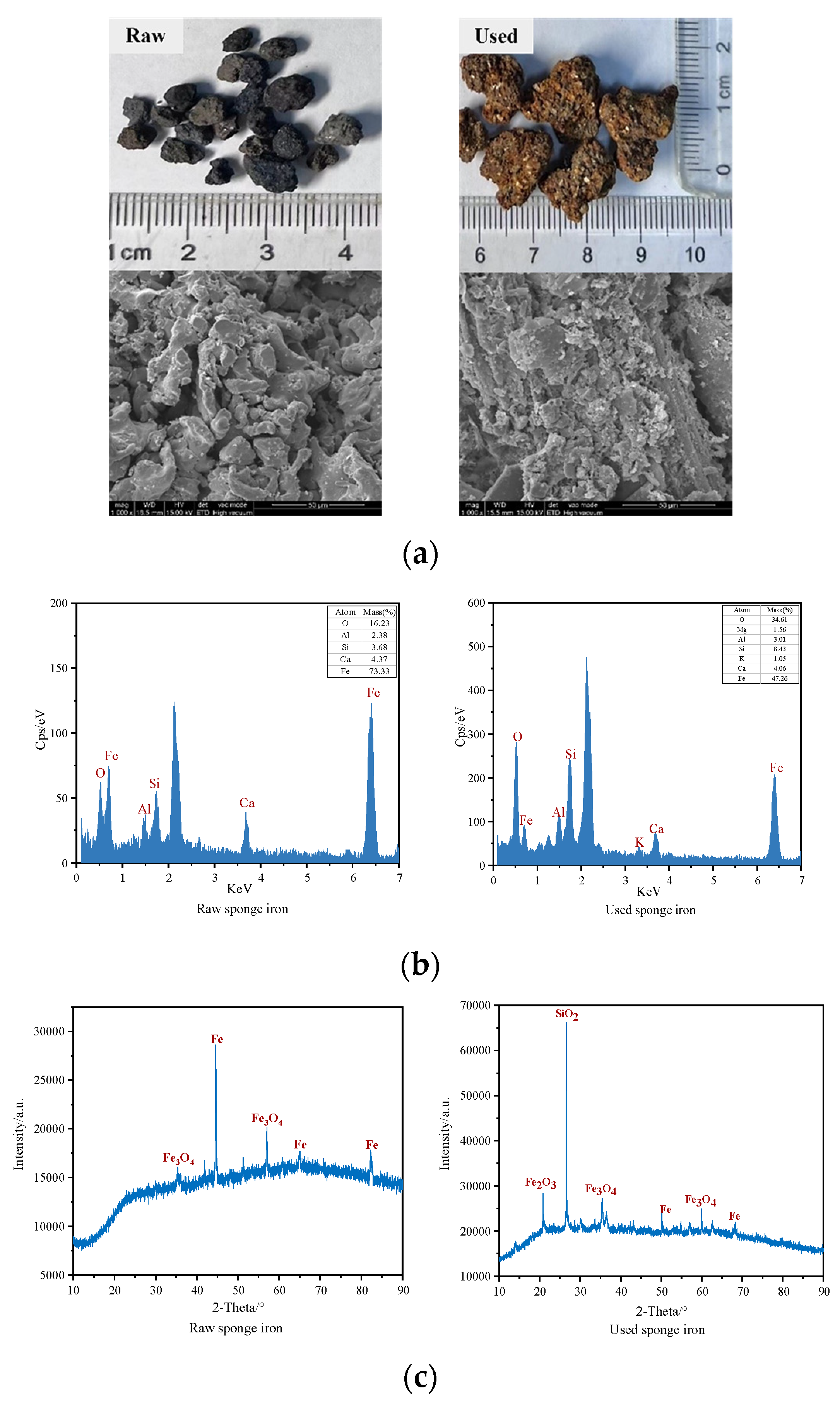 Toxics 12 00727 g004