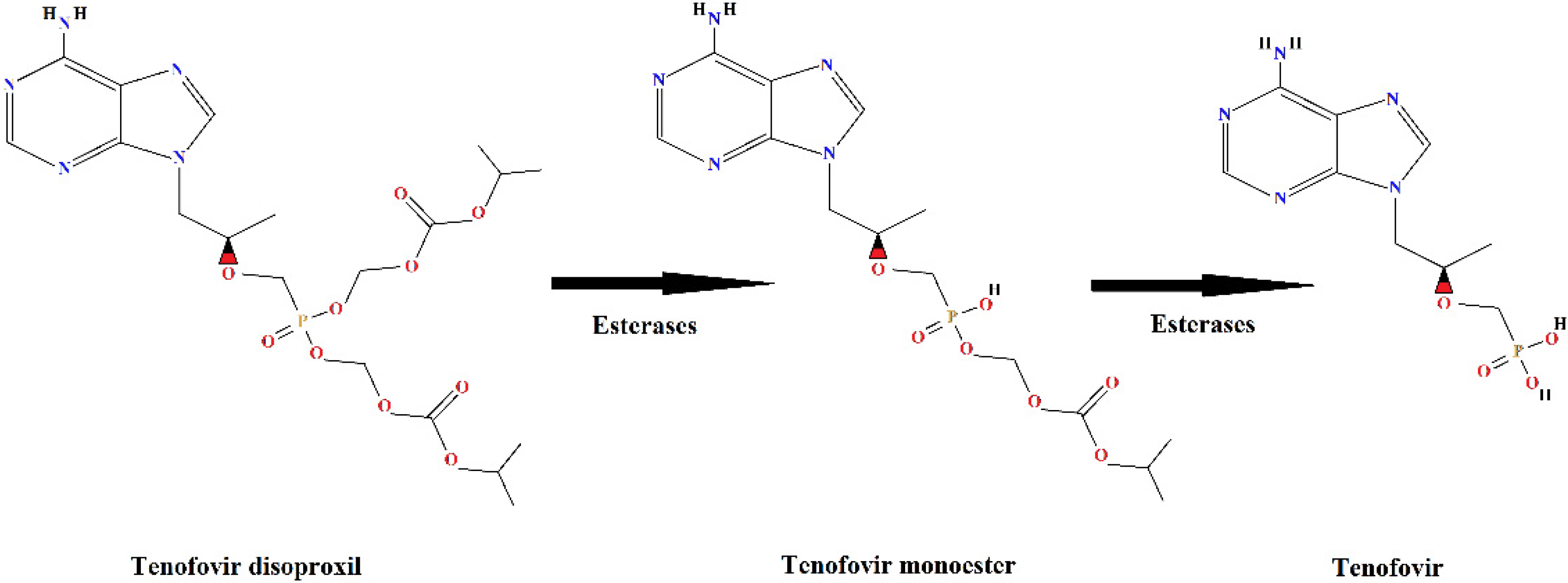 Toxics 12 00729 g001