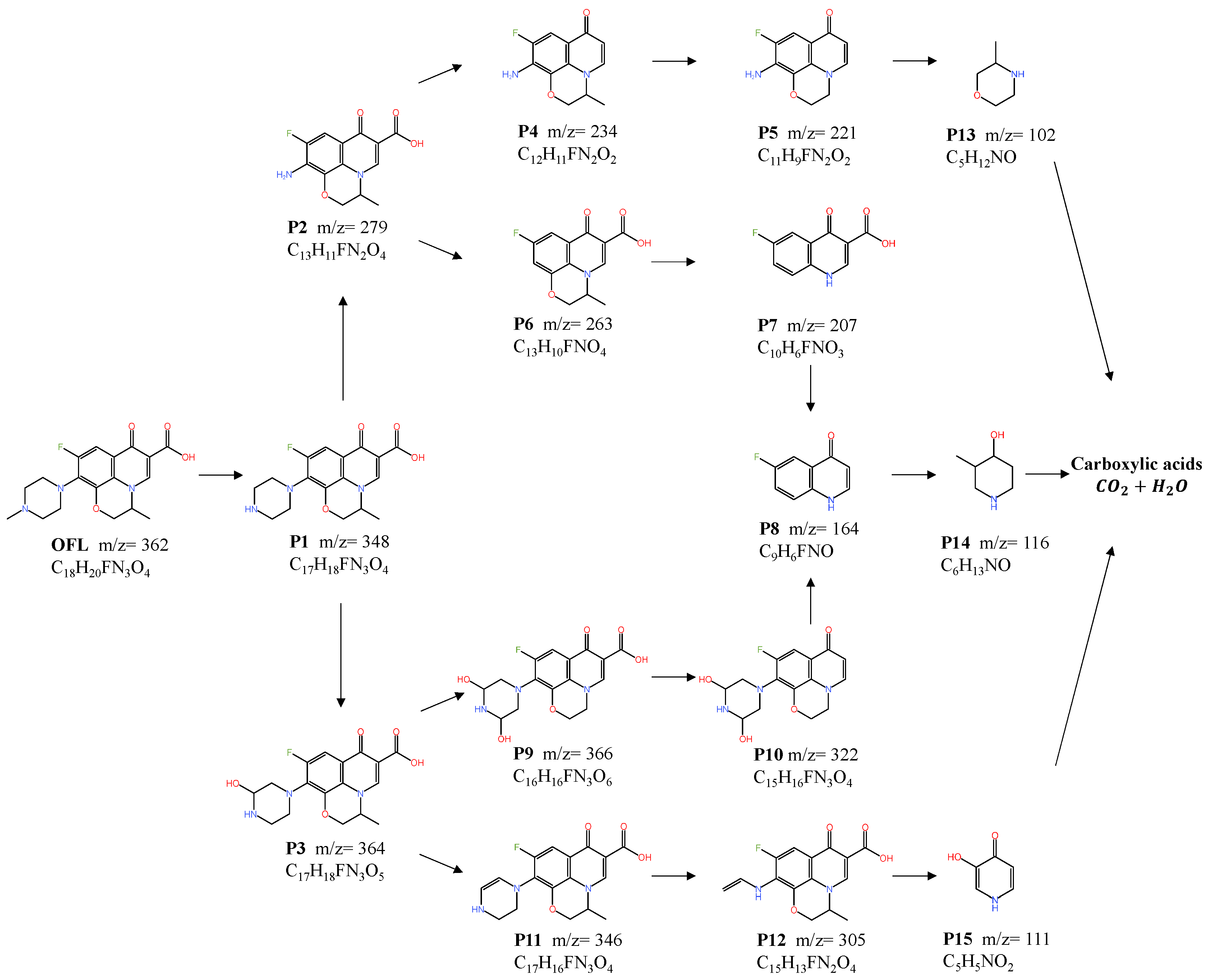 Toxics 12 00731 g010