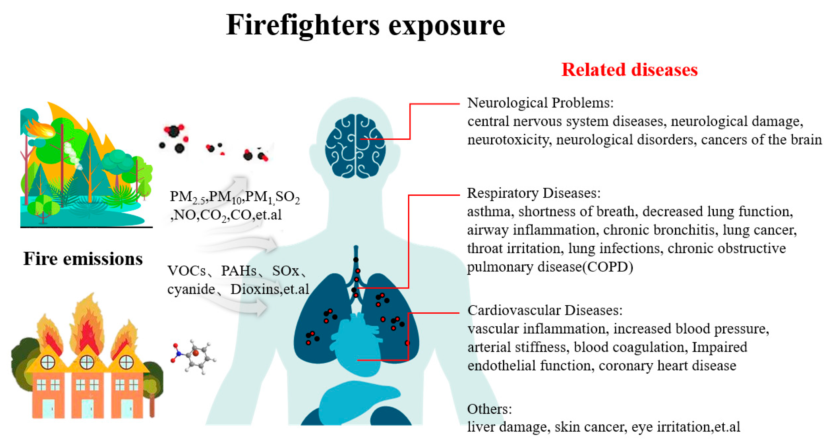 Toxics 12 00739 g001