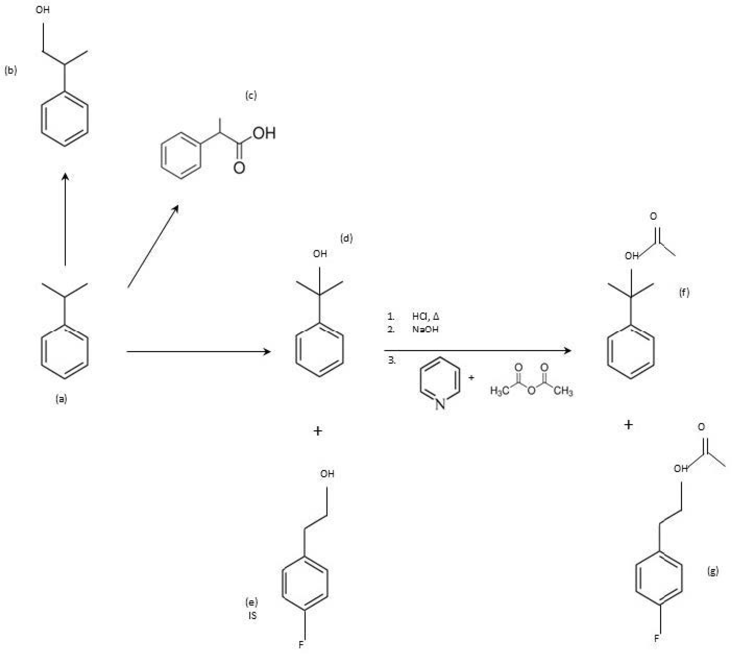 Toxics 12 00743 g002