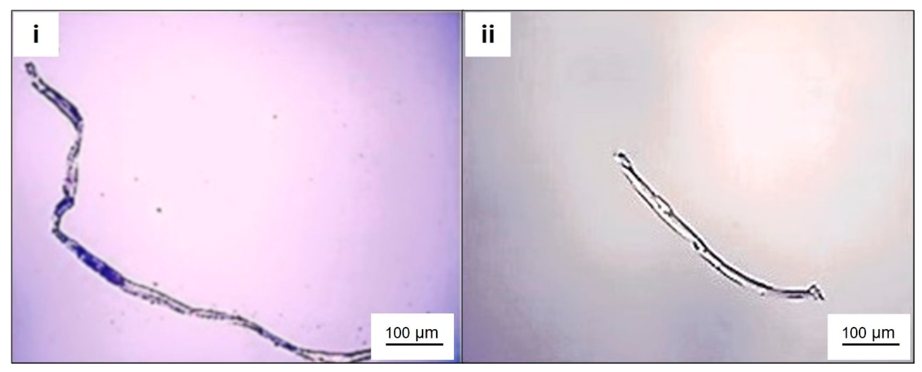 Toxics 12 00753 g001