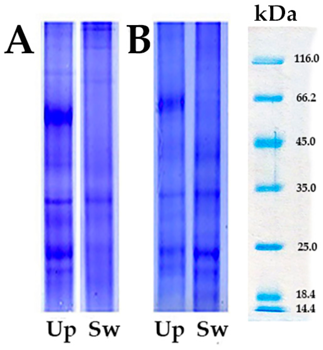 Toxics 12 00756 g001