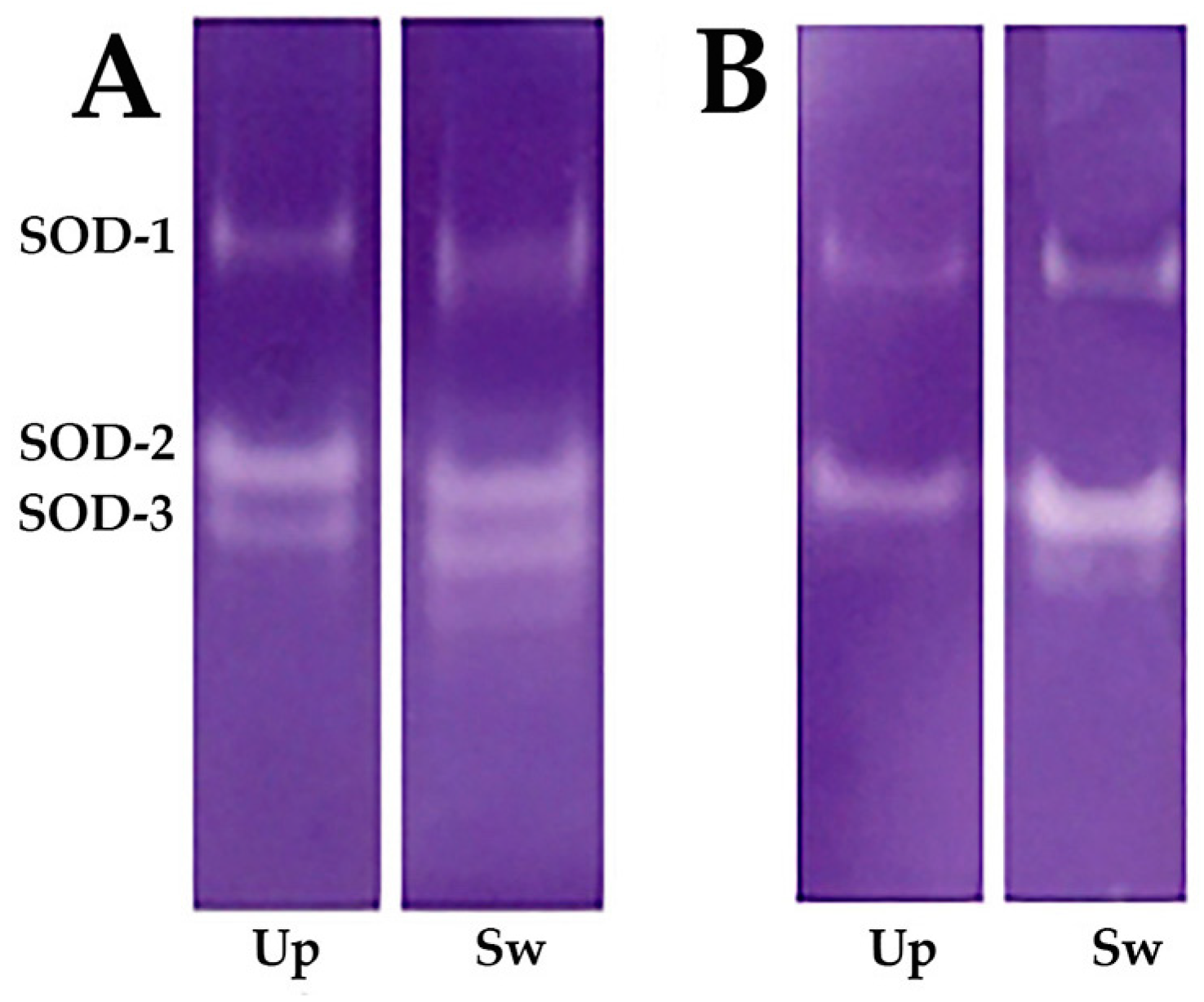 Toxics 12 00756 g002