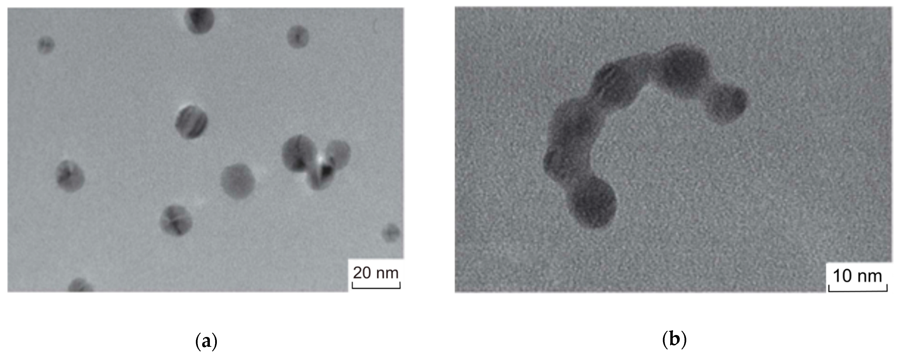Toxics 12 00757 g004