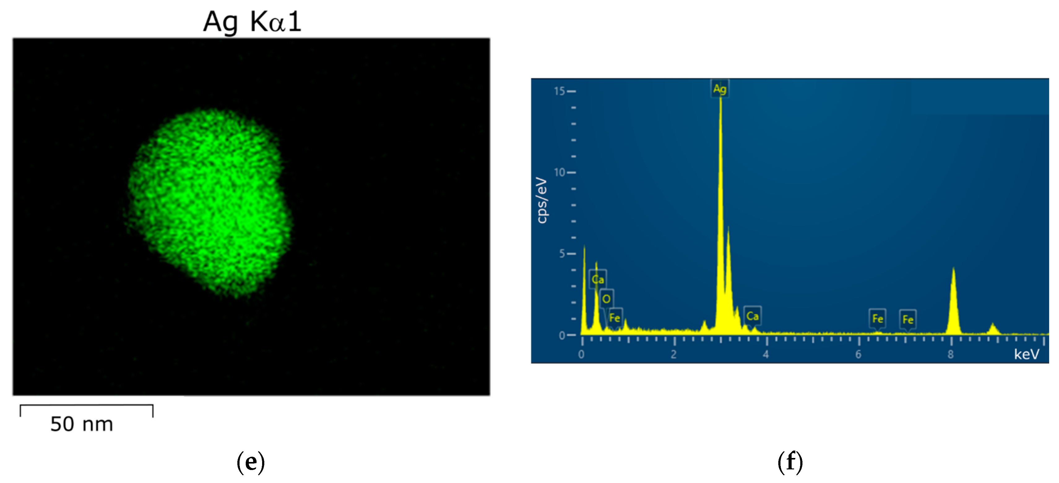 Toxics 12 00757 g006b