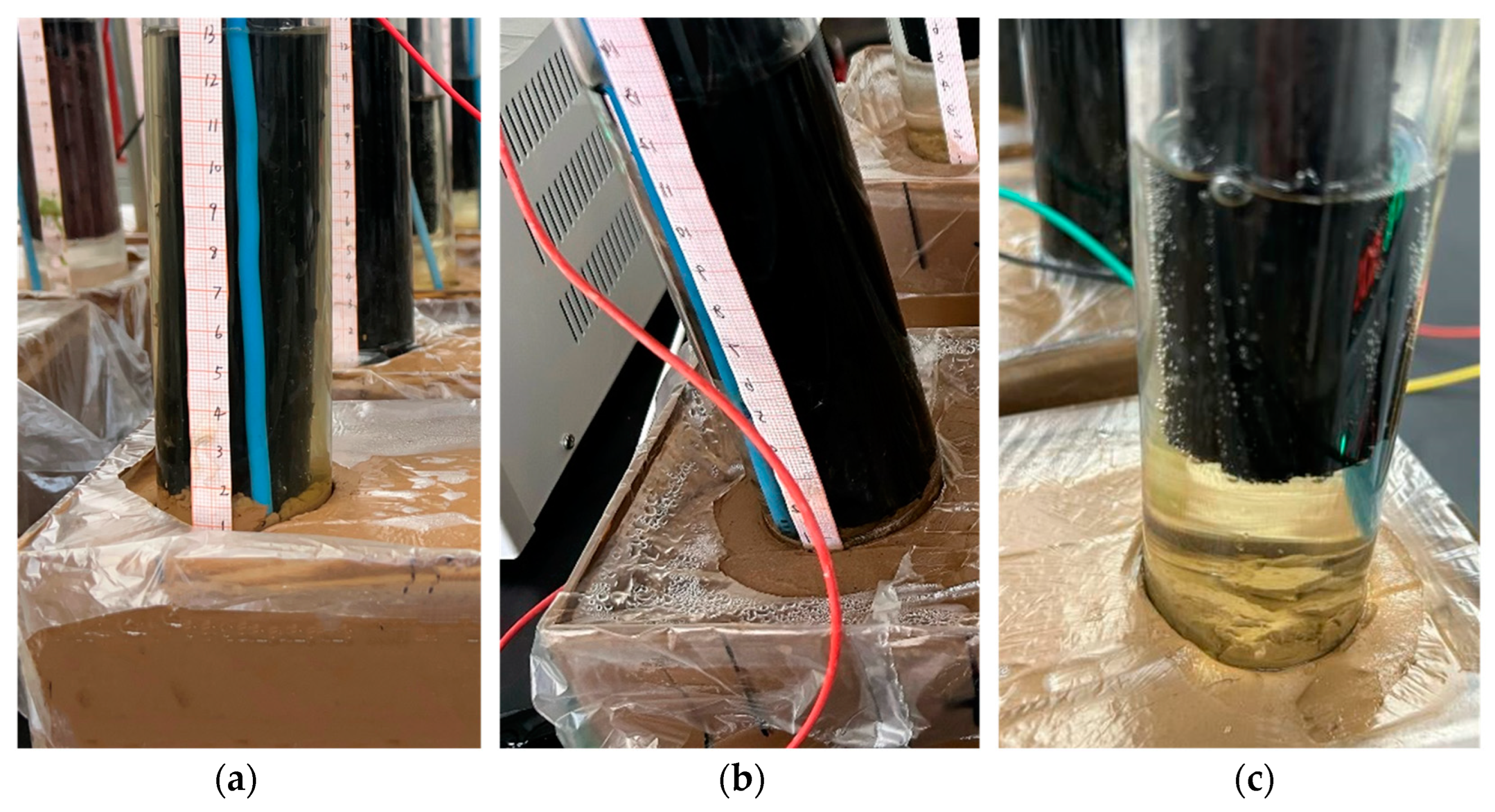 Toxics 12 00758 g005