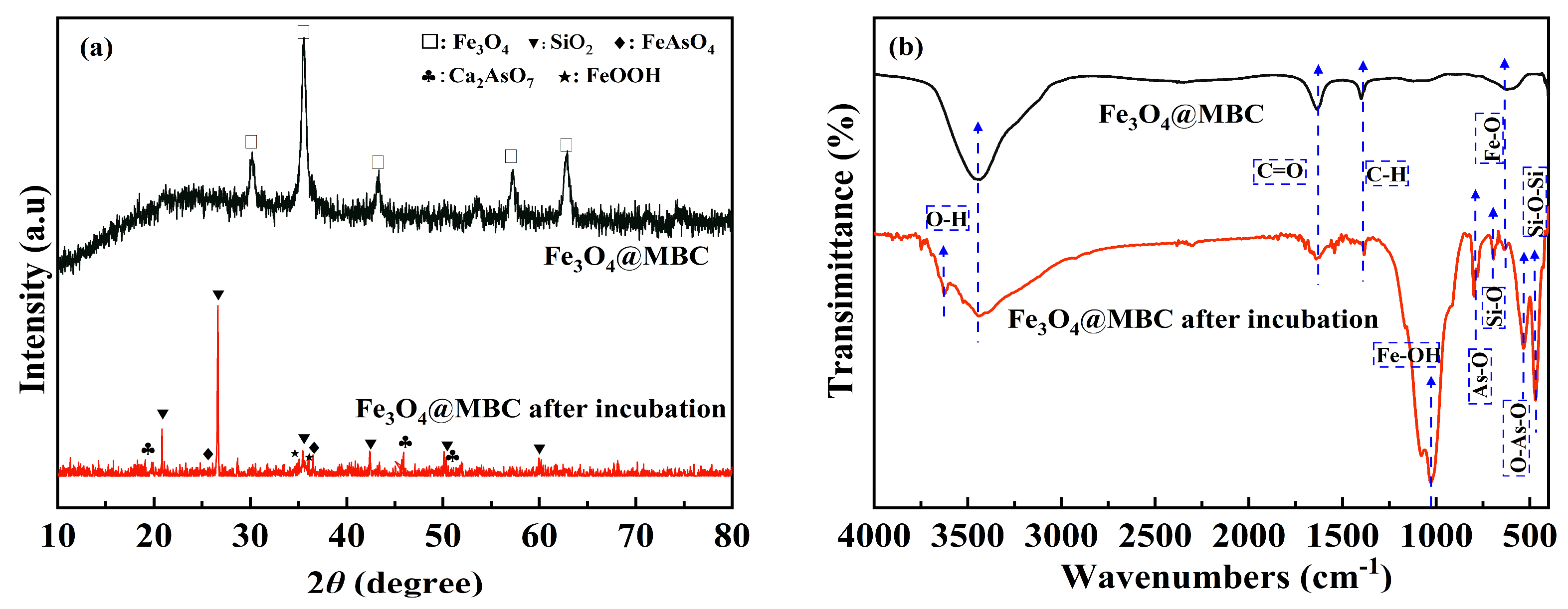 Toxics 12 00765 g006