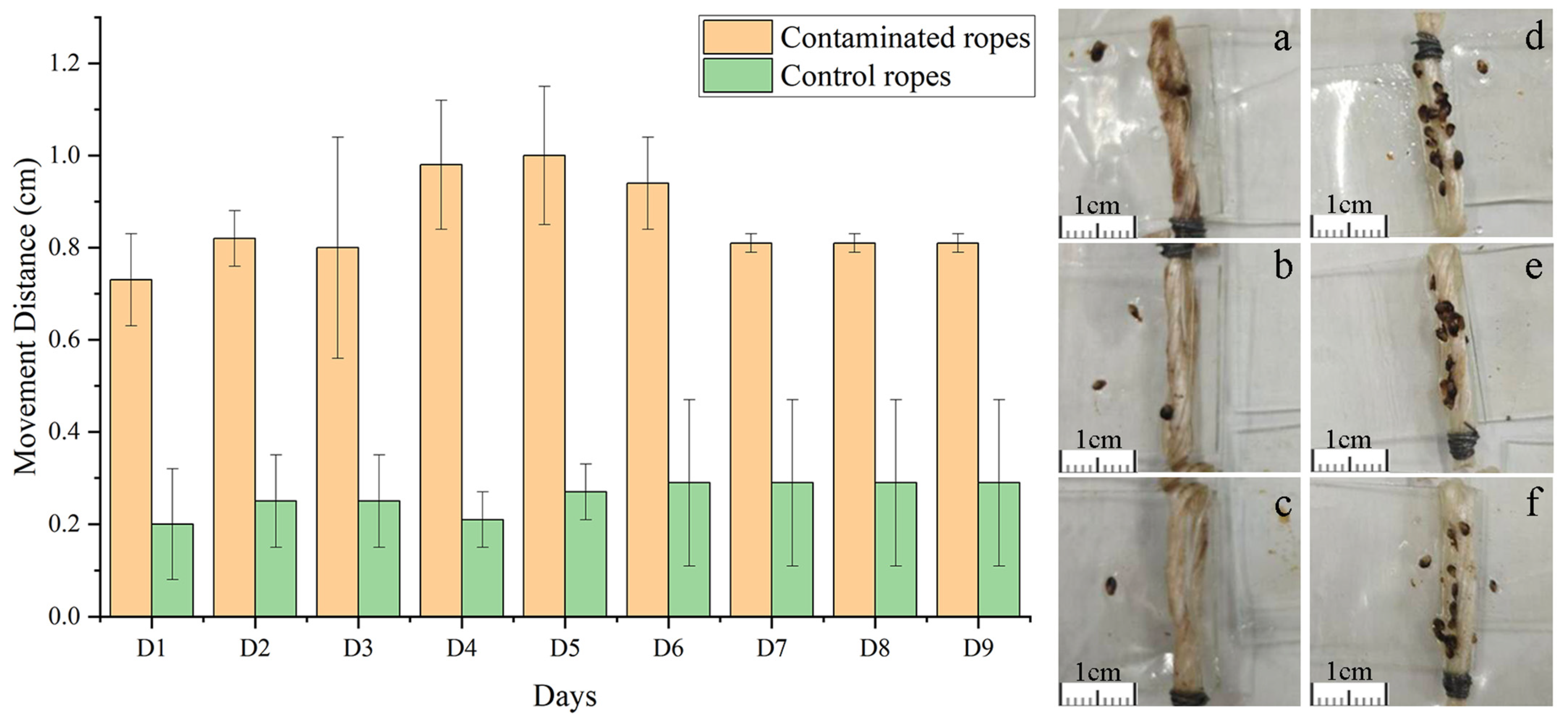 Toxics 12 00768 g003