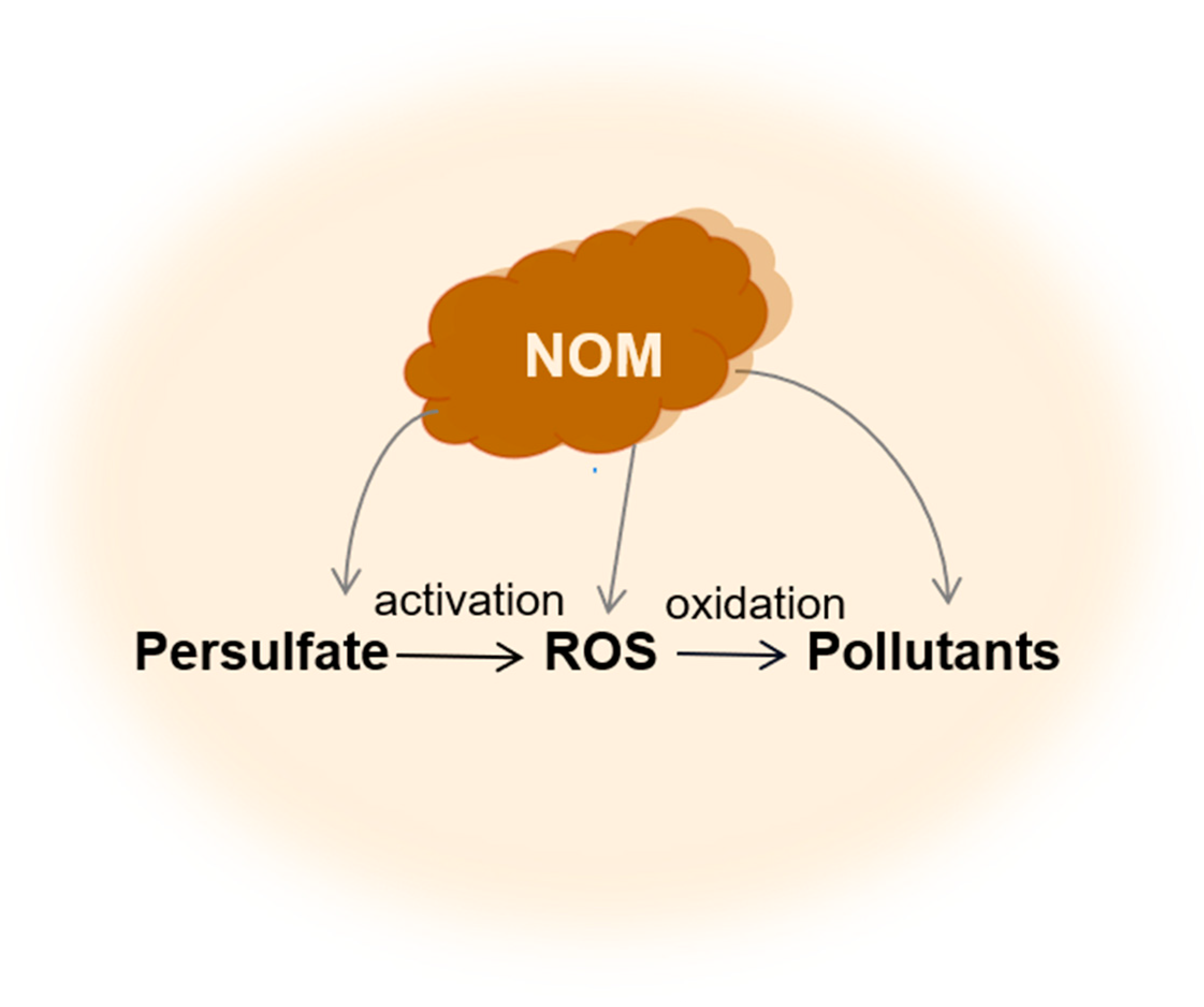 エッセイ The Dual Role of Natural Organic Matter in the Degradation
