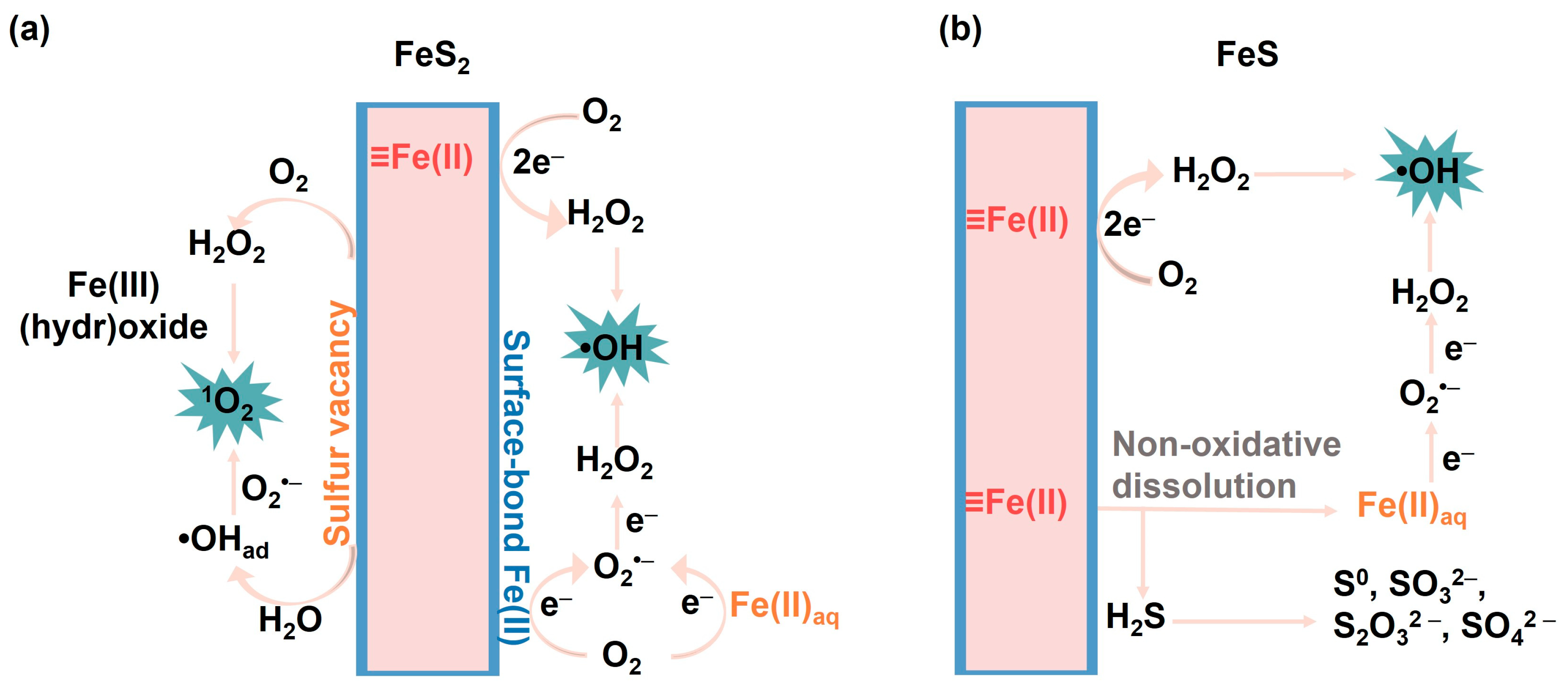 Toxics 12 00773 g002