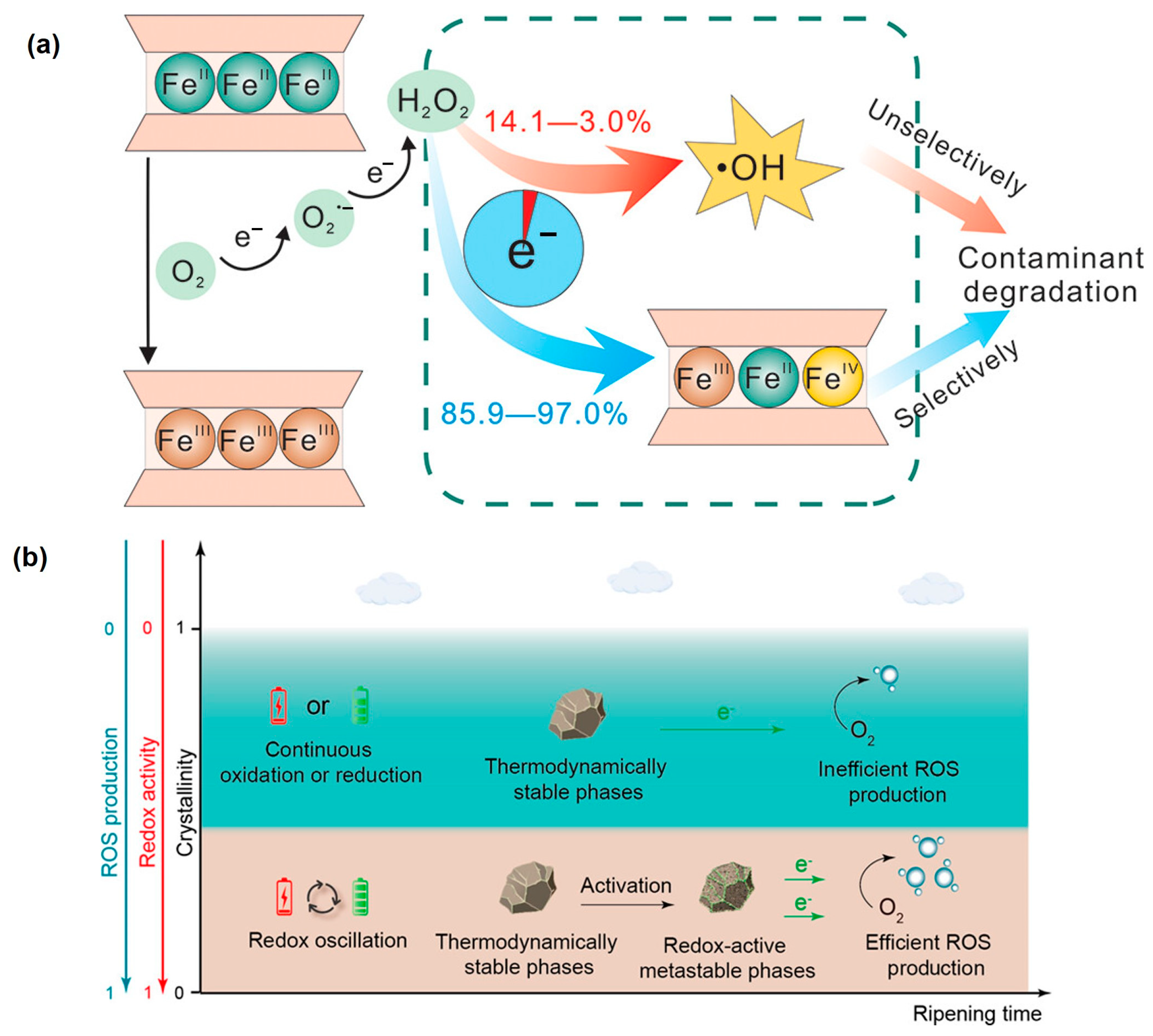 Toxics 12 00773 g003