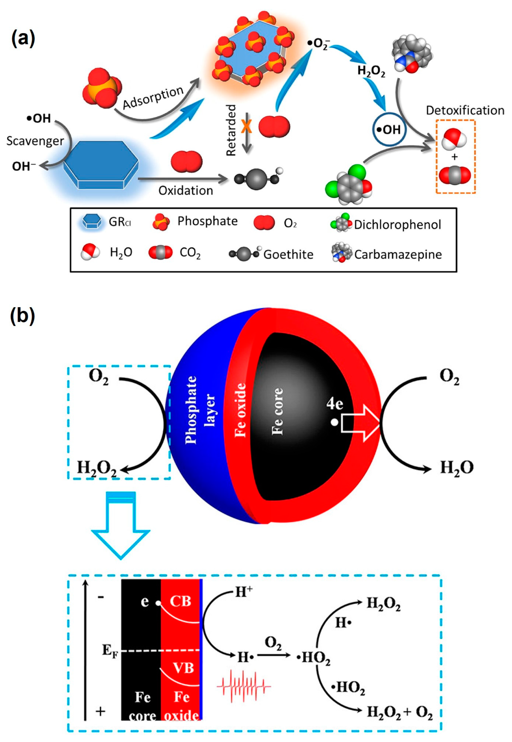 Toxics 12 00773 g005