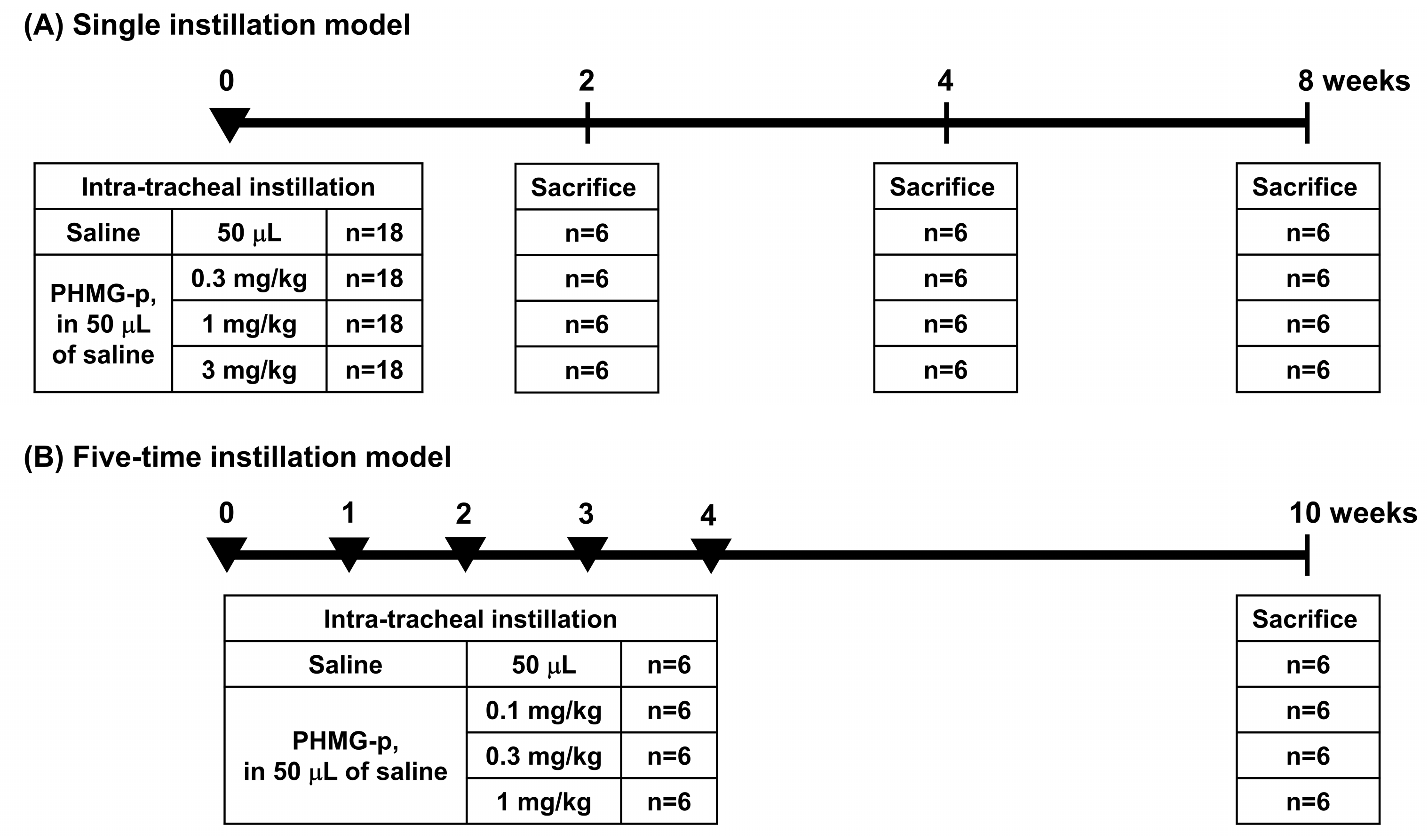 Toxics 12 00776 g001
