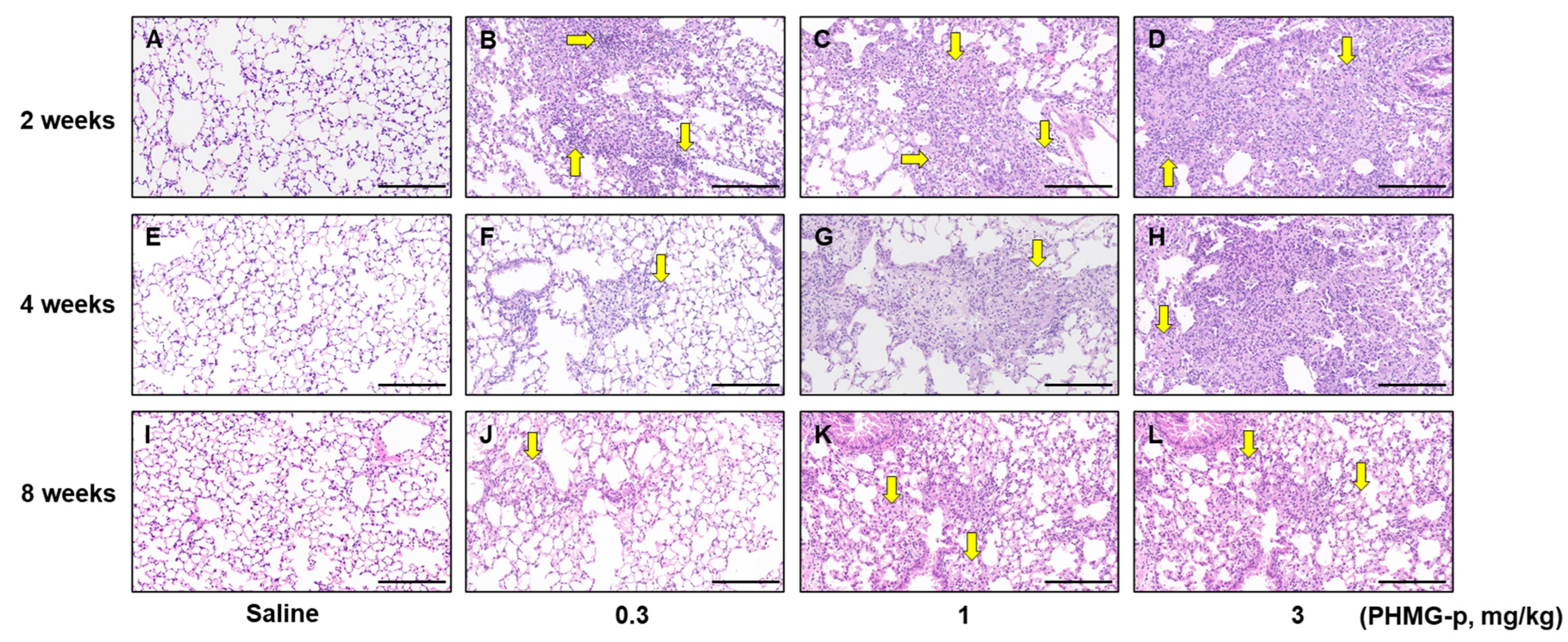 Toxics 12 00776 g005