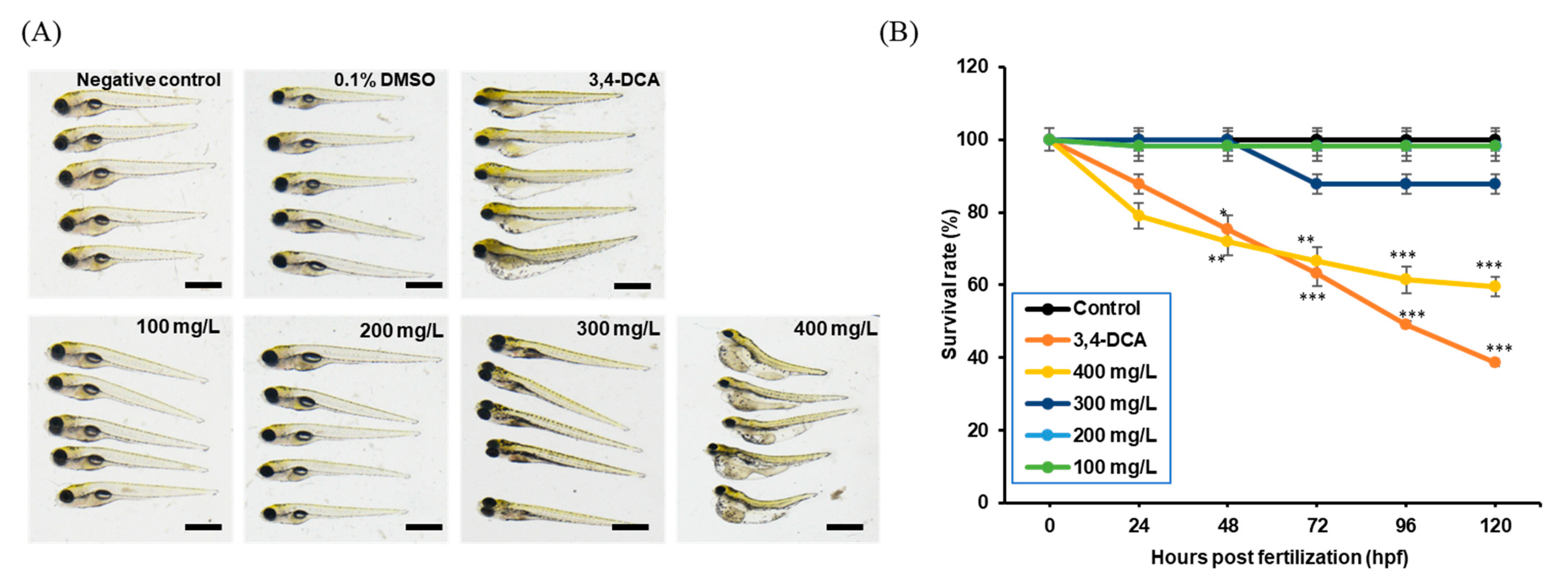 Toxics 12 00783 g001