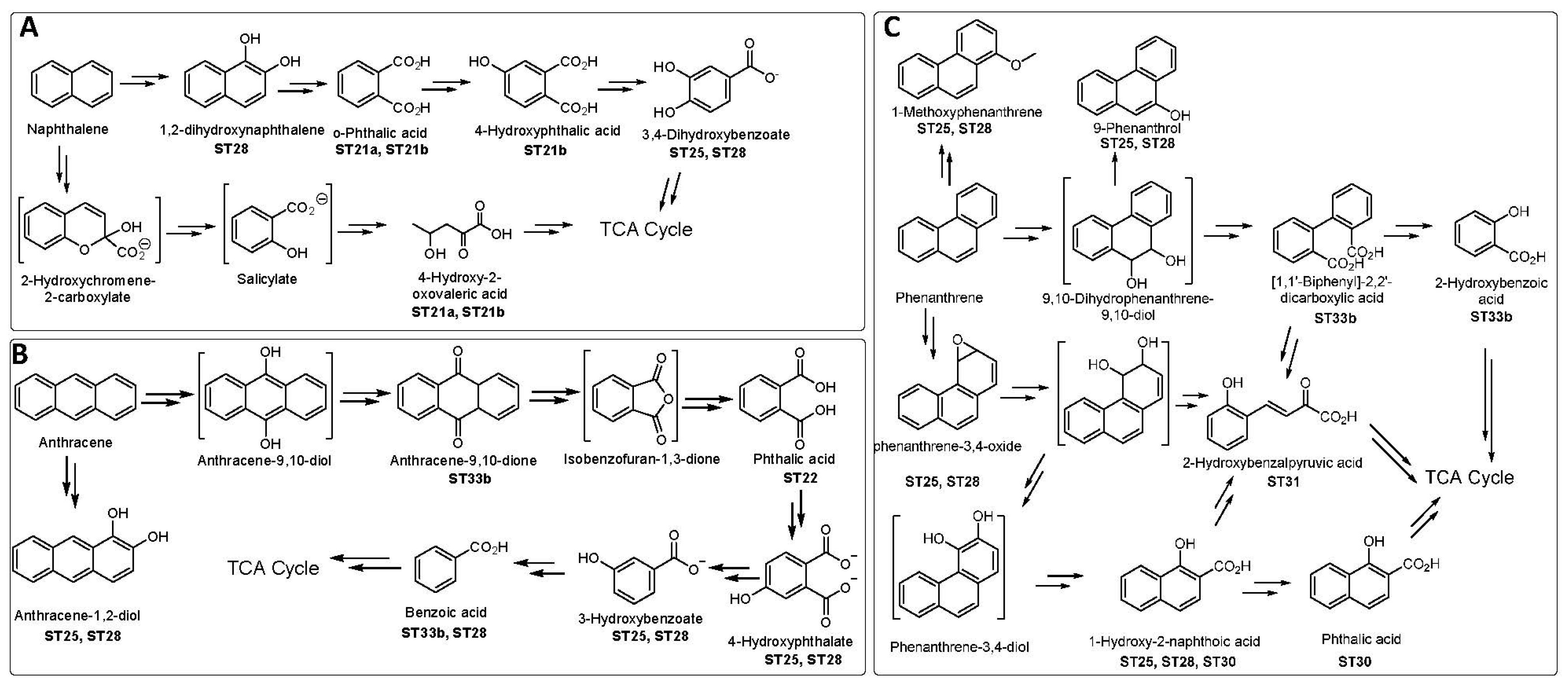 Toxics 12 00800 g007 Toxics 12 00800 g007