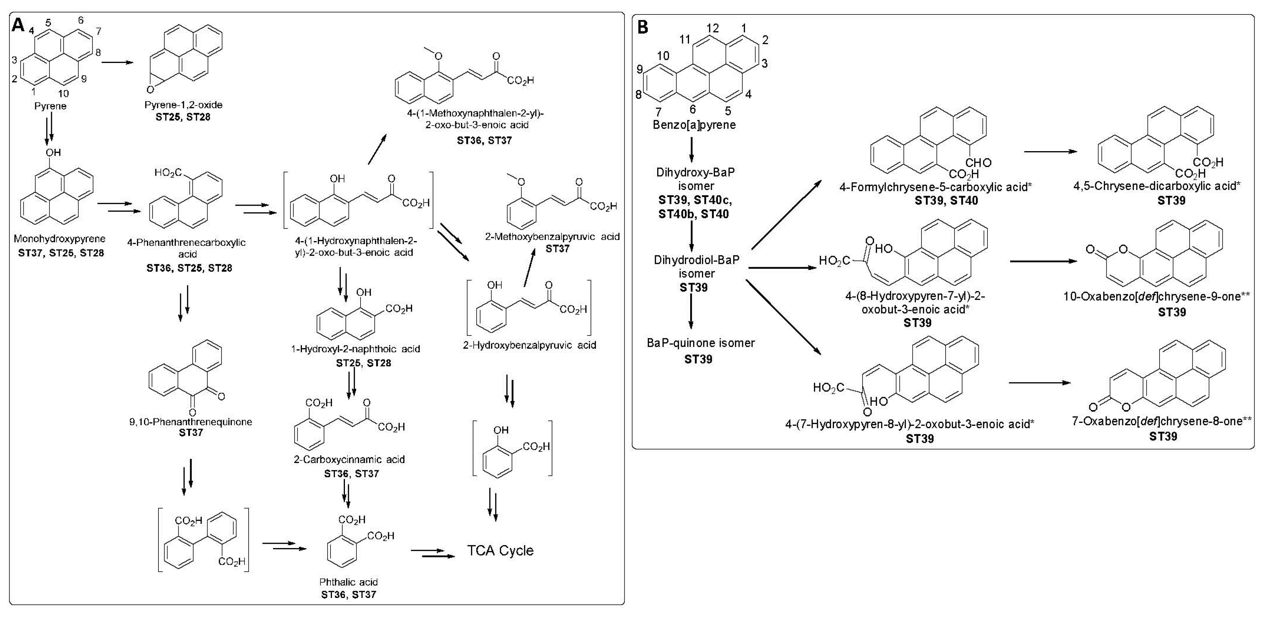 Toxics 12 00800 g008 Toxics 12 00800 g008