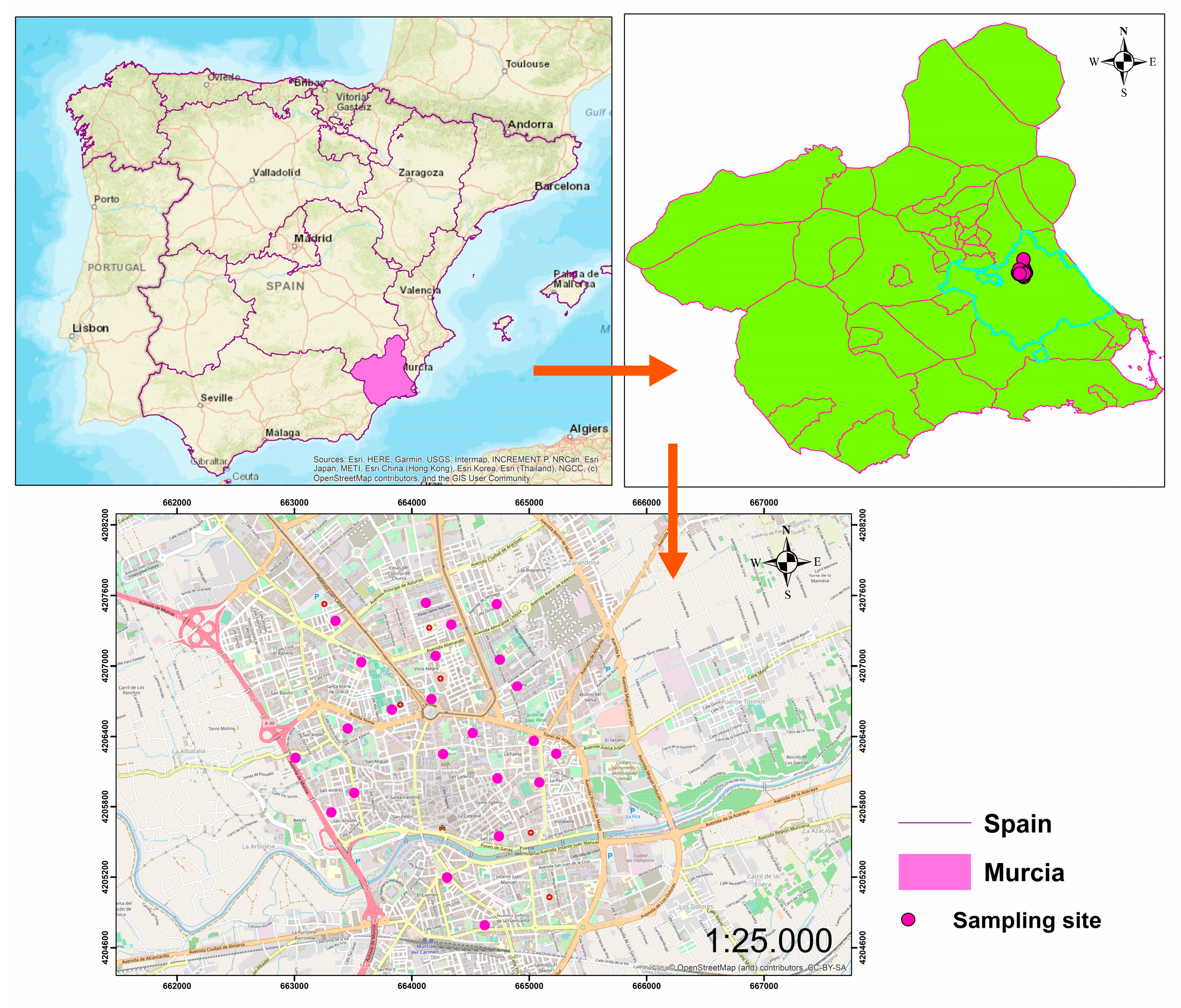 Toxics 12 00804 g001