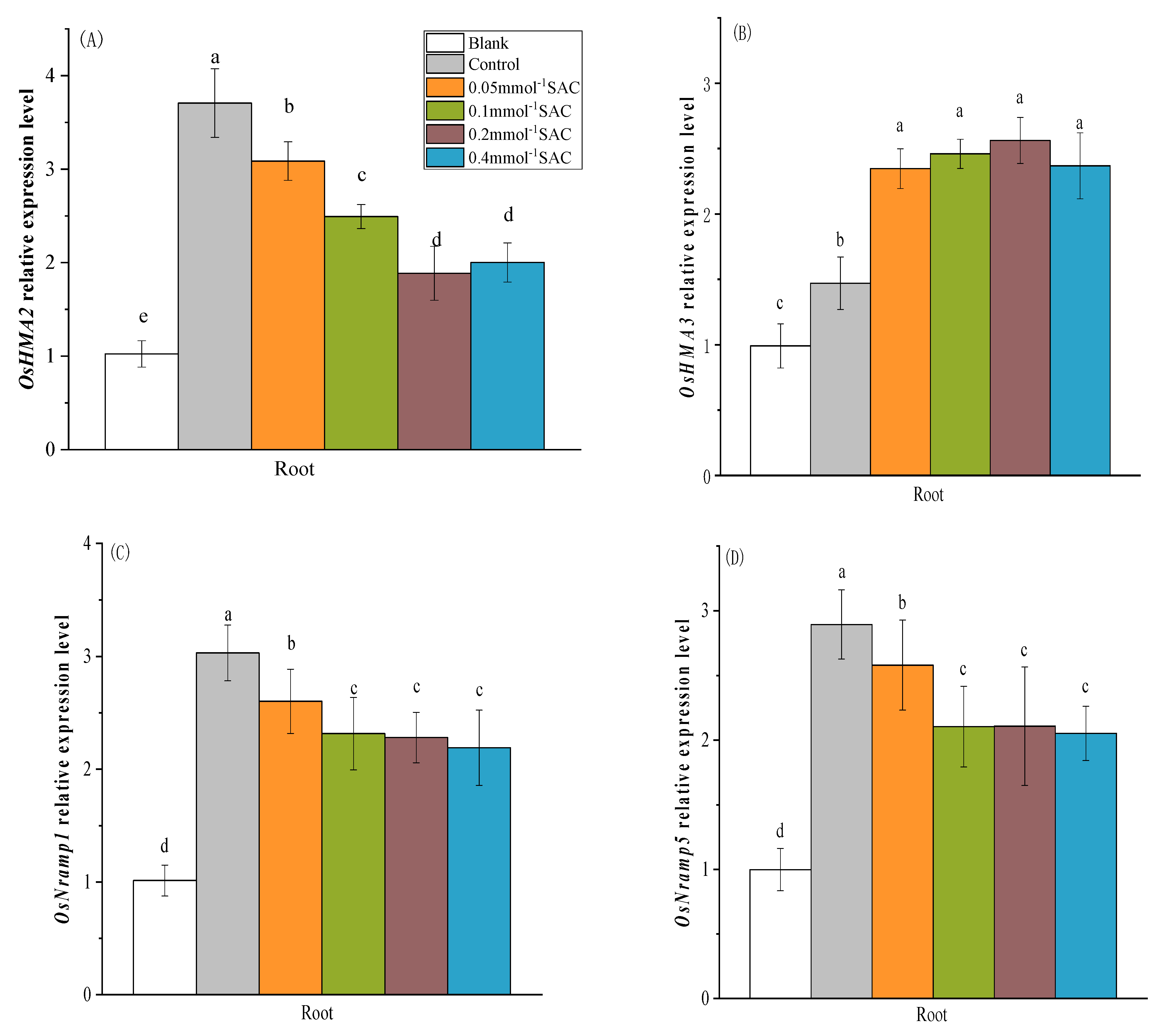 Effect of S-Allyl-L-Cysteine on Nitric Oxide and Cadmium