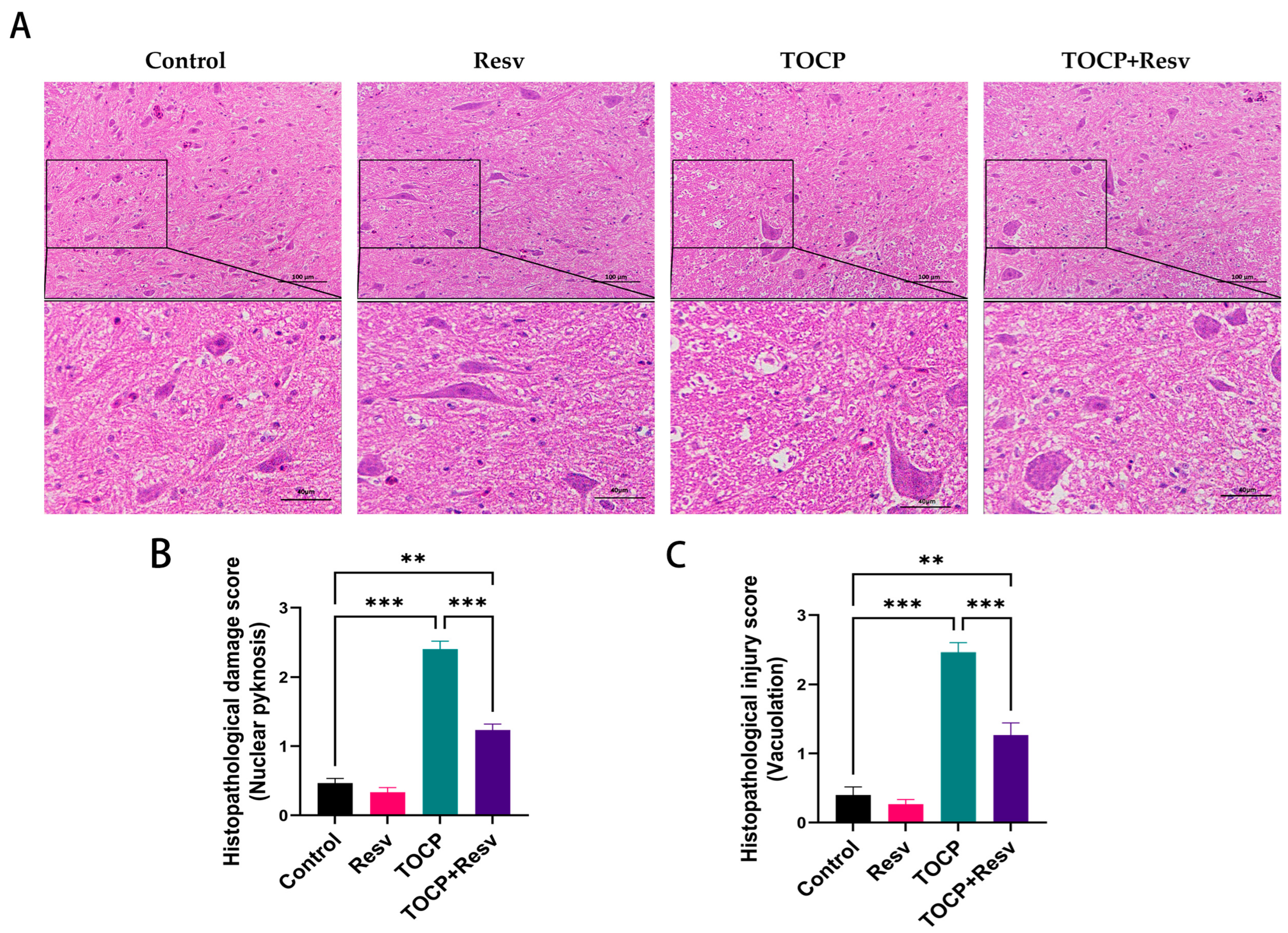 Toxics 12 00810 g004