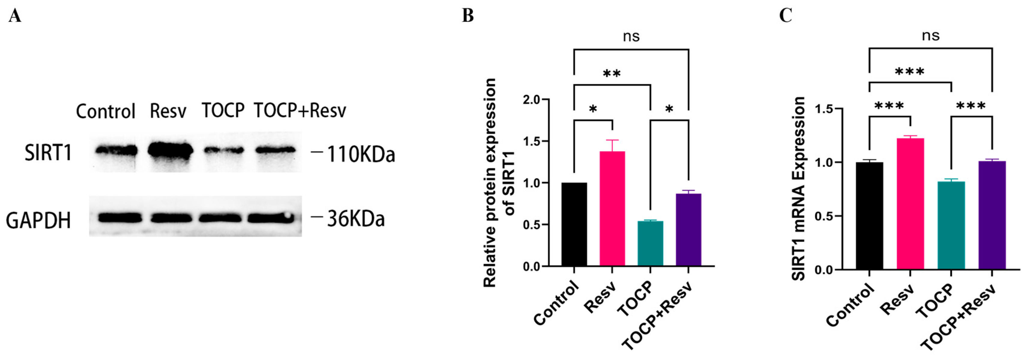 Toxics 12 00810 g008