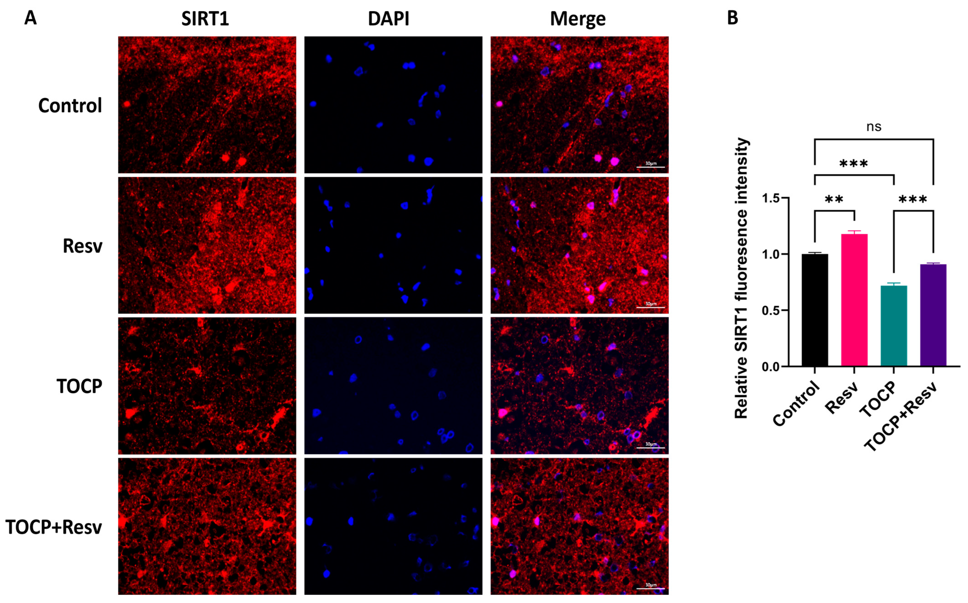 Toxics 12 00810 g009