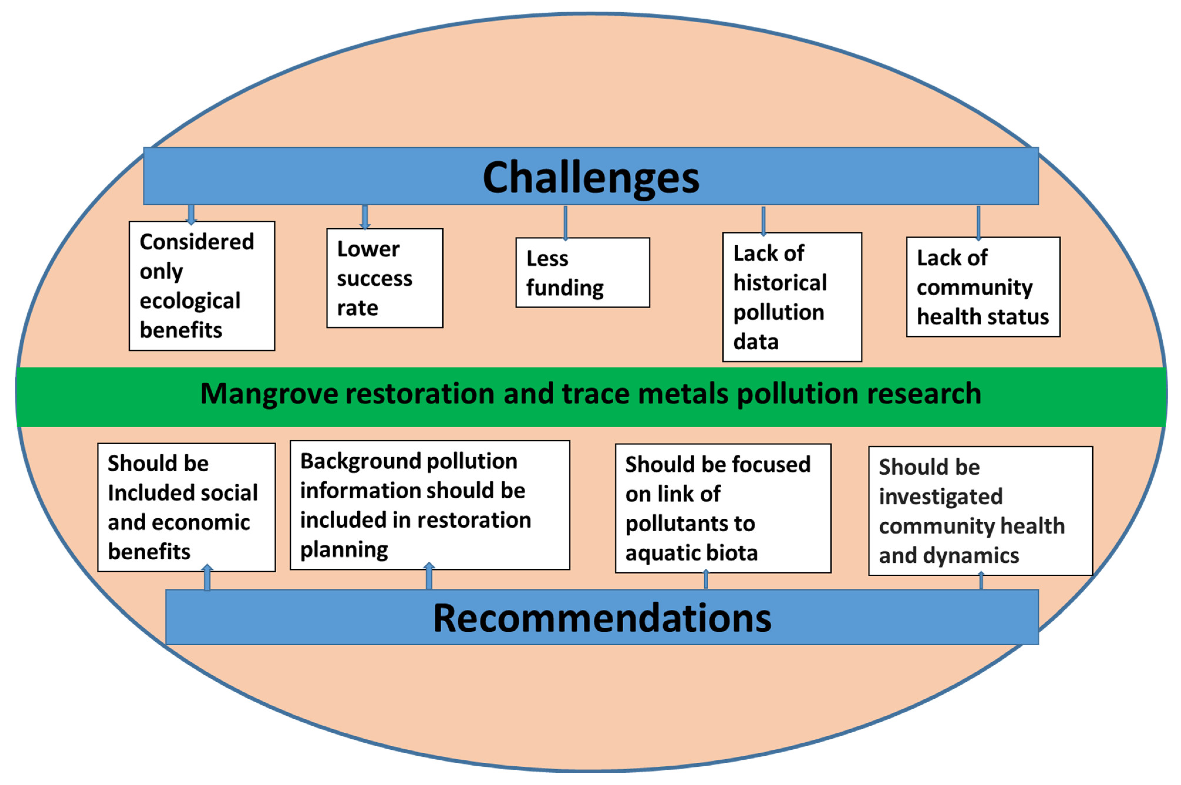Toxics 12 00812 g007