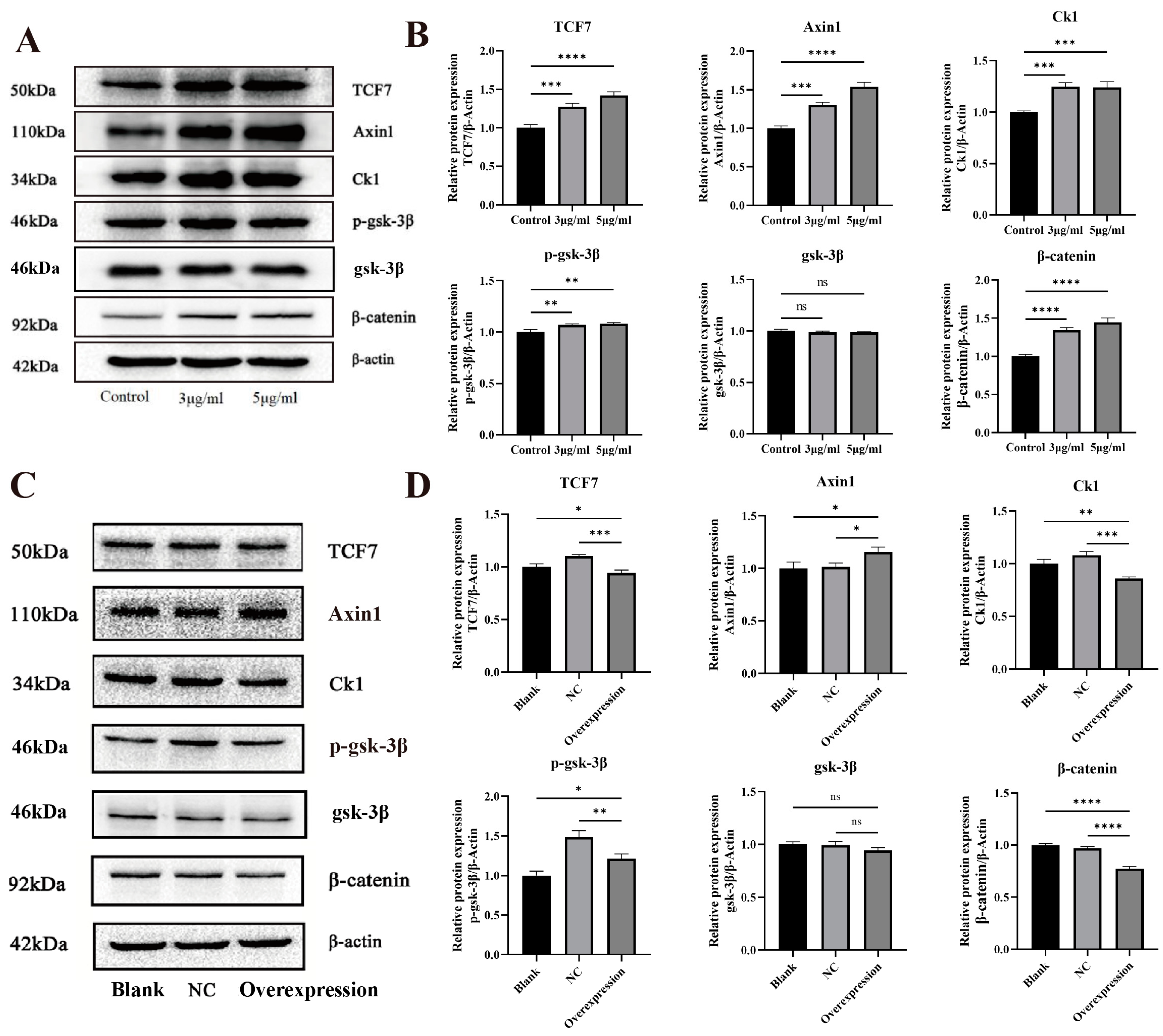Toxics 12 00824 g009