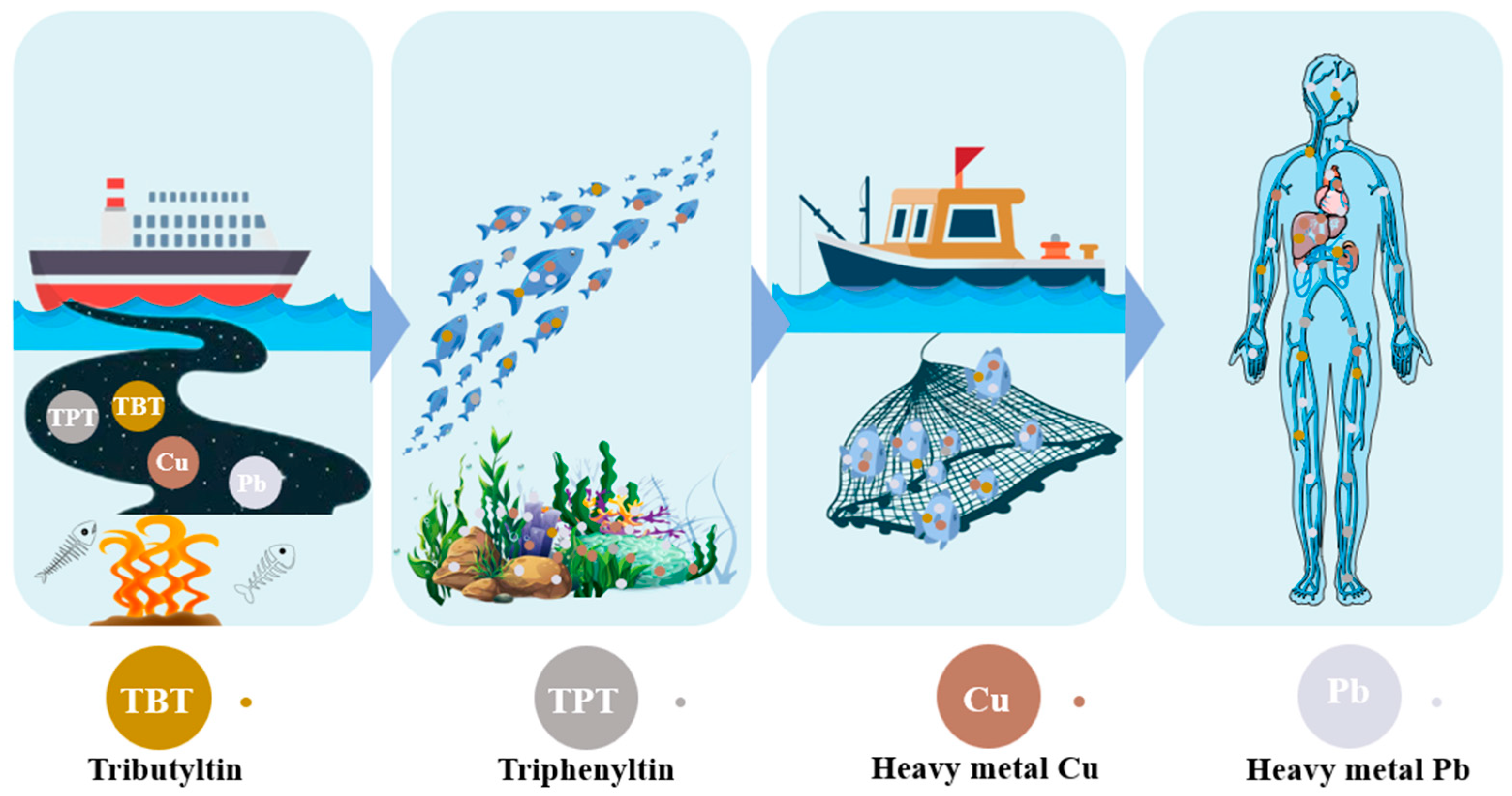 Toxics 12 00826 g003