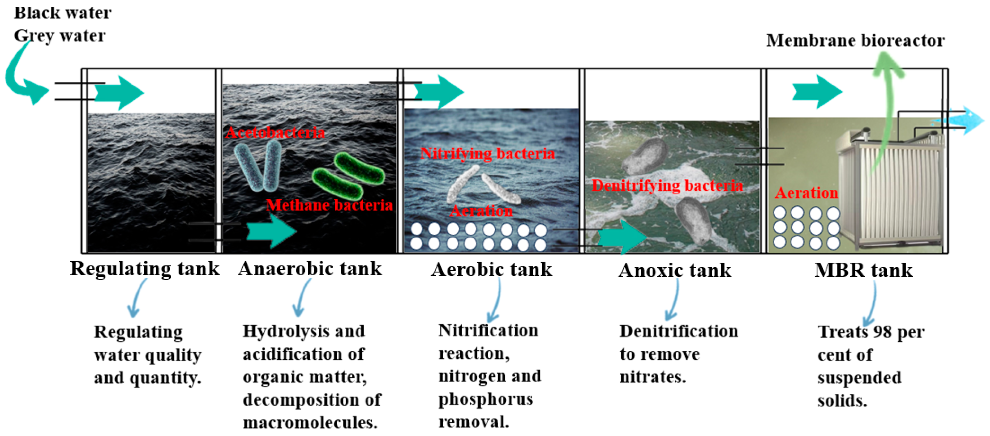 Toxics 12 00826 g004