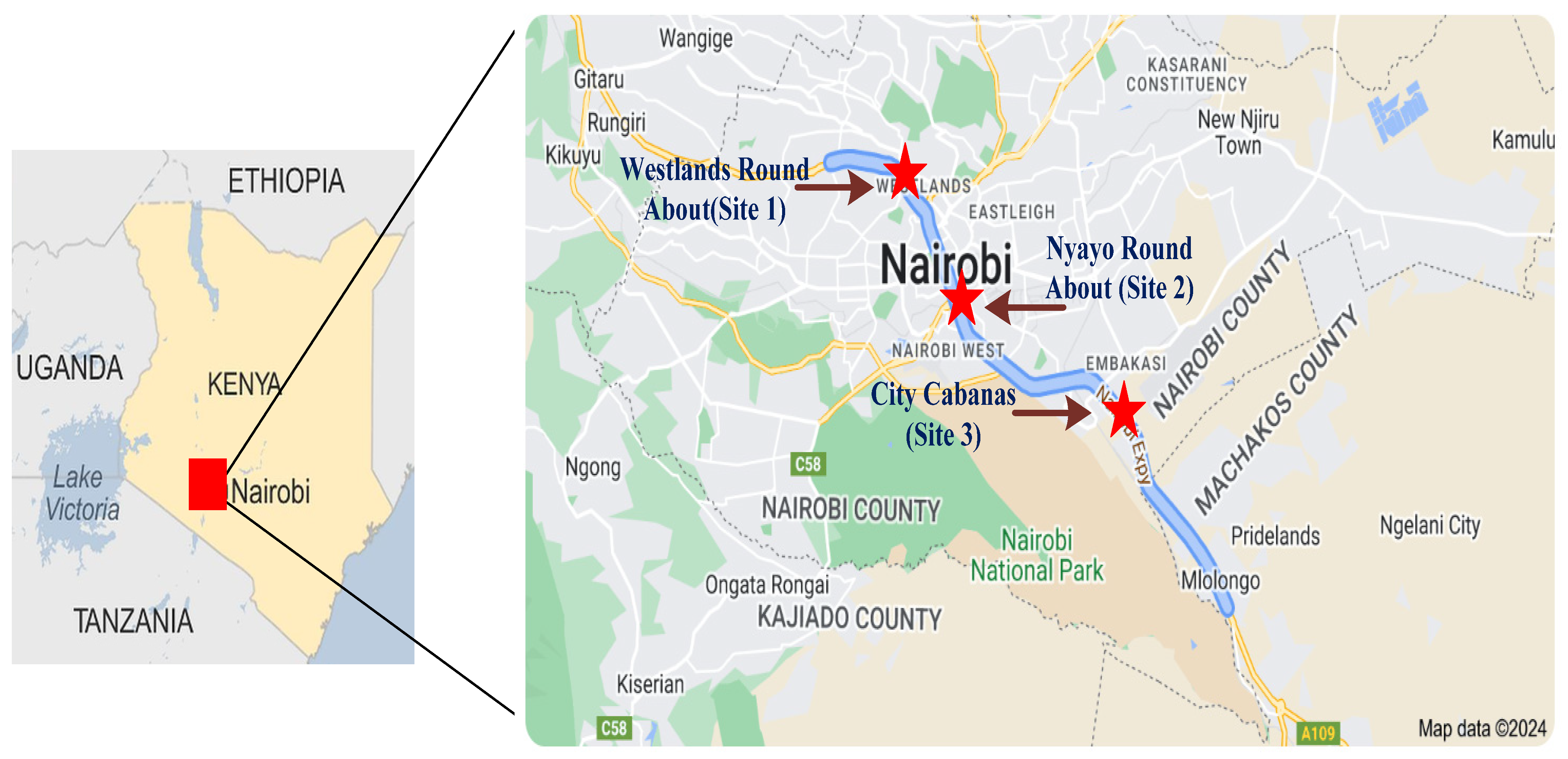 Toxics 12 00827 g002