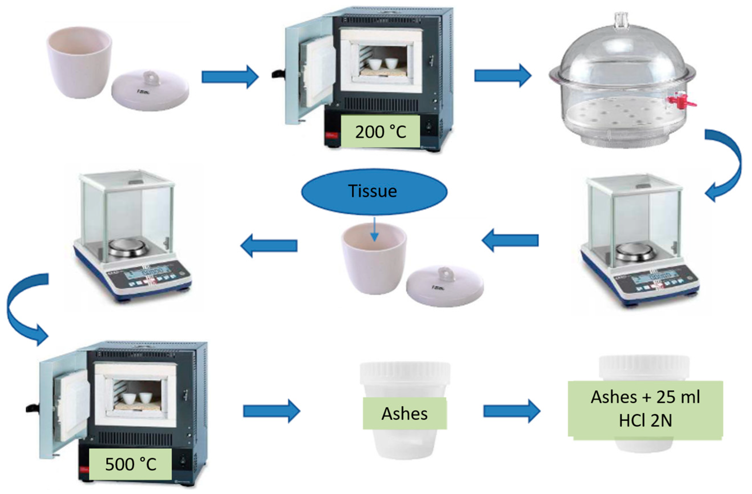 Toxics 12 00830 g002